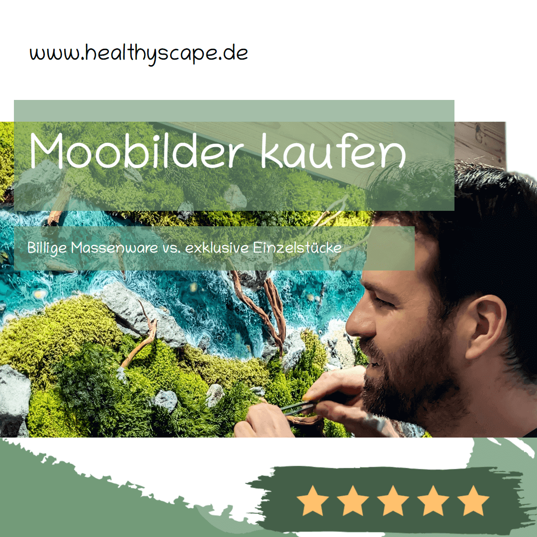 Mann betrachtet exklusives Moosbild, vergleicht es mit billiger Massenware, Healthyscape Dekoration.