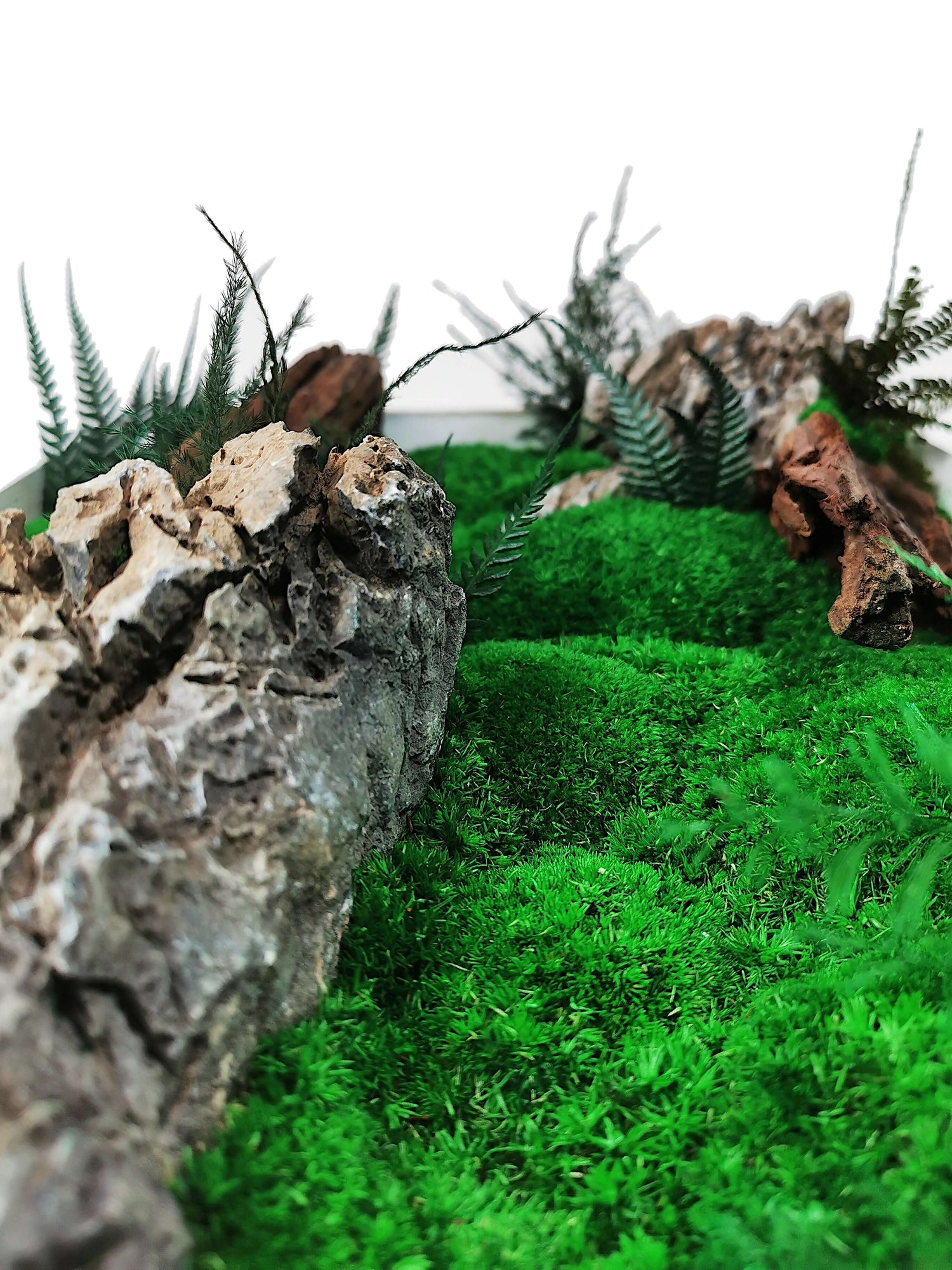 Detailed close-up of a green moss landscape with textured stones and ferns, ideal for DIY moss art.