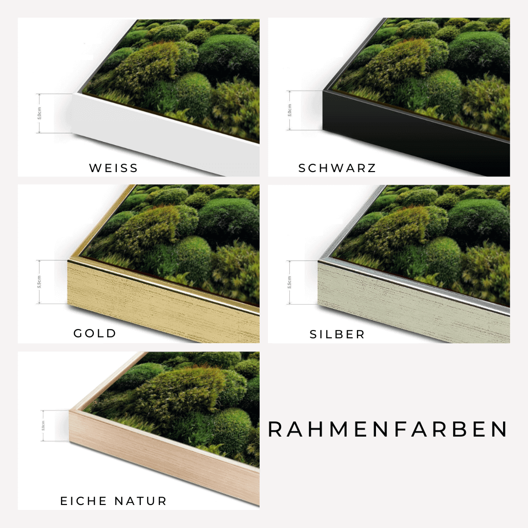 Rahmenfarben für Moosbild Panorama 'Wild River': Weiss, Schwarz, Gold, Silber, Eiche Natur mit Dimensionen.