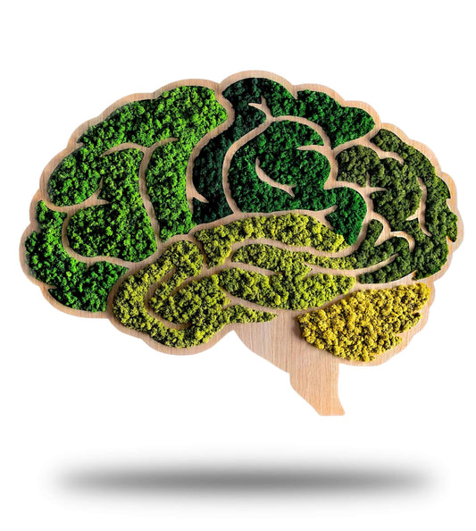 Moosbild mit Rentiermoosen in Form eines Gehirns Frontalansicht