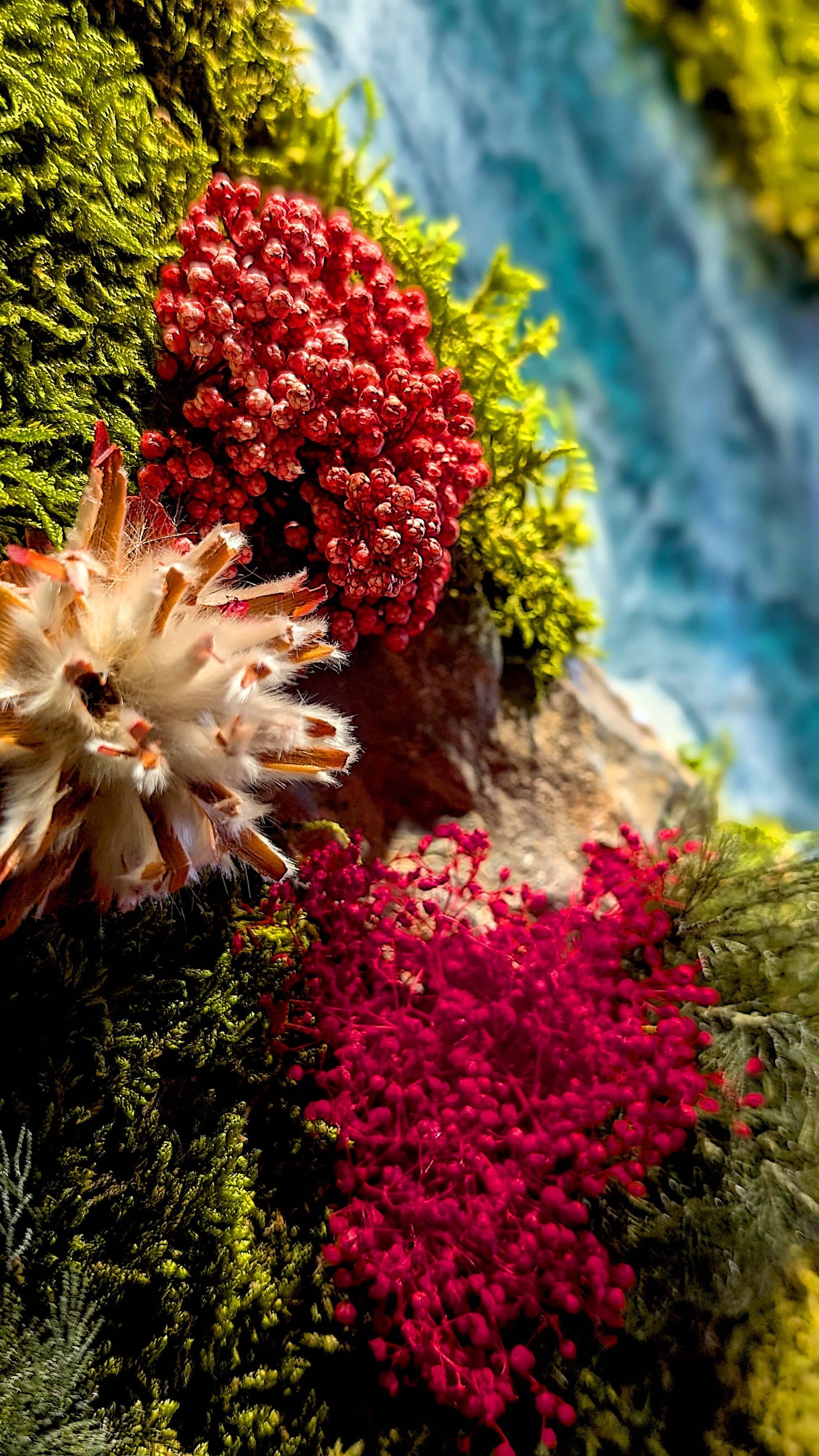 Moosbild 3er Set mit Epoxidharz-Fluss & natürliche Korkrinde mit bunten, stabilisierten Moosen.