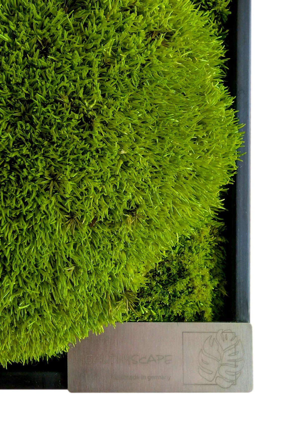 Moss picture with metal company logo