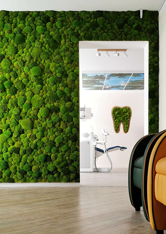 Praxisraum mit einer Mooswand und einen Zahn aus Moos