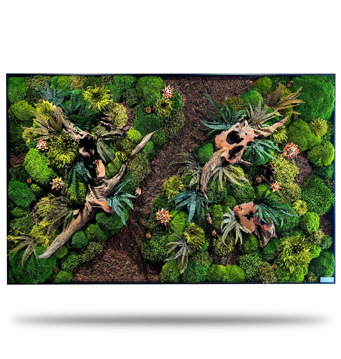 Custom-made moss picture forest picture "Forest Paths Autumn" - plant picture in a modern slim frame (80-200cm) - natural artwork with real roots