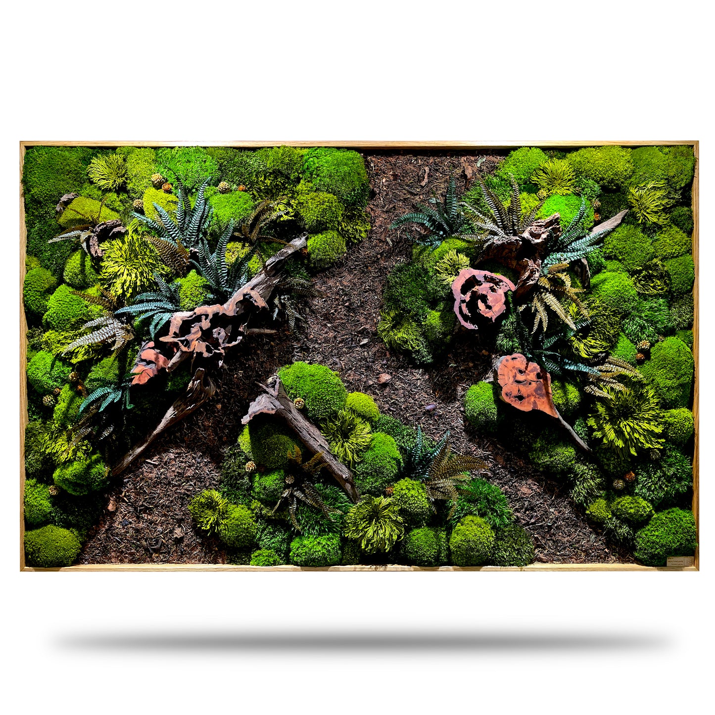 Custom-made moss picture forest picture "Forest Paths Autumn" - plant picture in a modern slim frame (80-200cm) - natural artwork with real roots