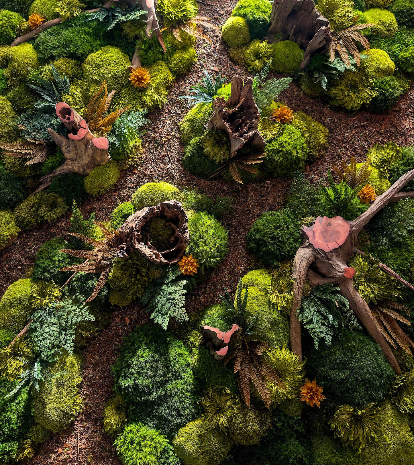 Custom-made moss picture forest picture "Forest Paths Autumn" - plant picture in a modern slim frame (80-200cm) - natural artwork with real roots