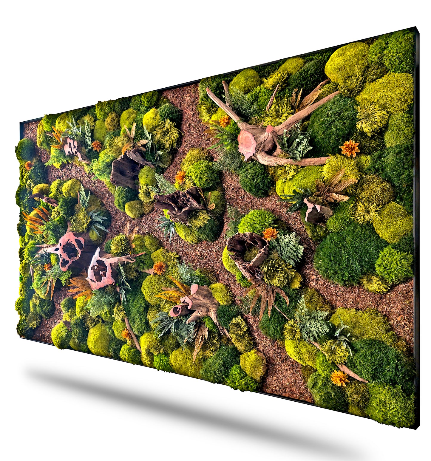 Custom-made moss picture forest picture "Forest Paths Autumn" - plant picture in a modern slim frame (80-200cm) - natural artwork with real roots