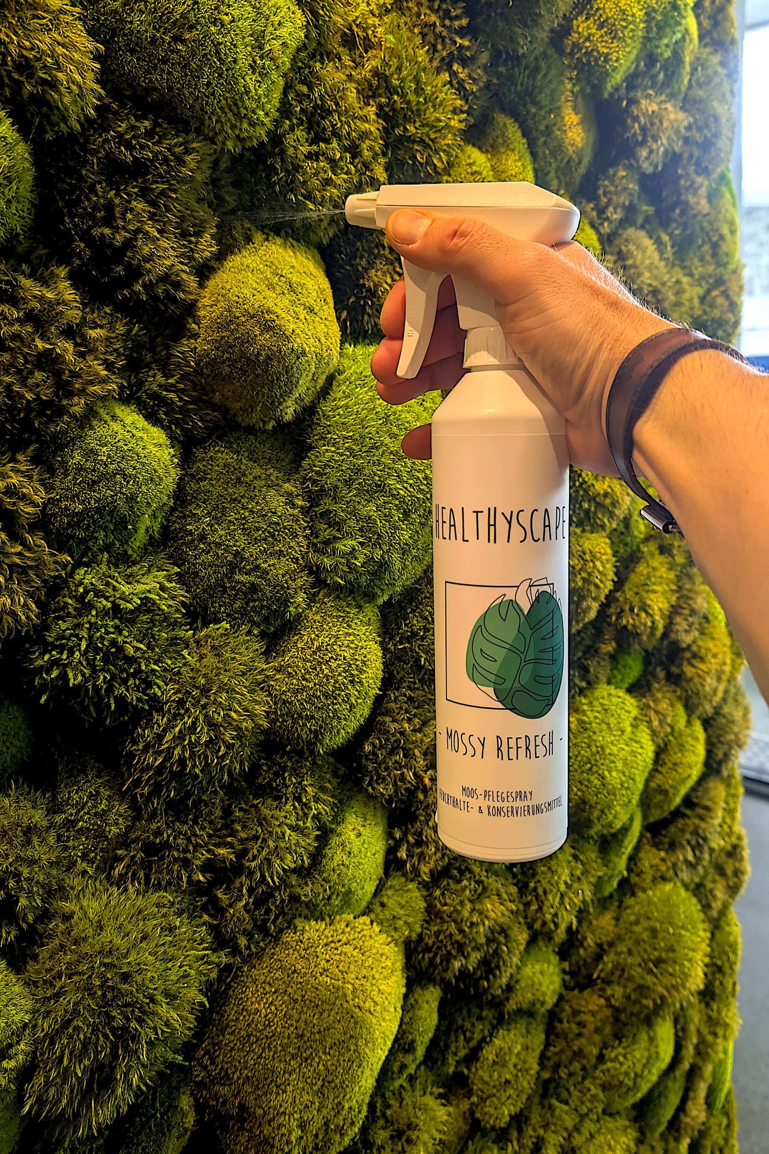 Pflegespray für Moosbilder in der Hand vor einer Mooswand mit frischem grünem Moos.