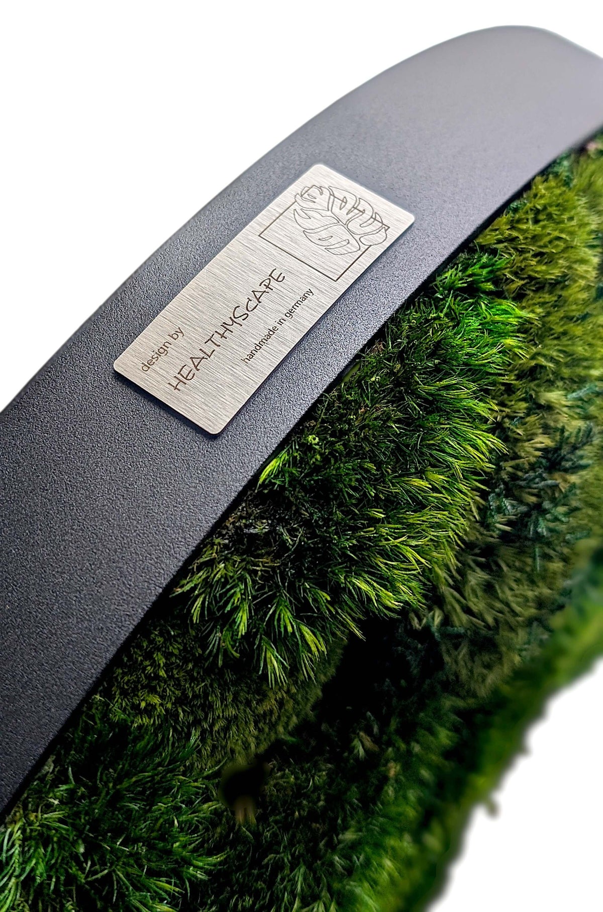Rundes Moosbild Provence Kugelmoose Mix im stabilen Aluminiumrahmen, detail view of label and green moss texture.