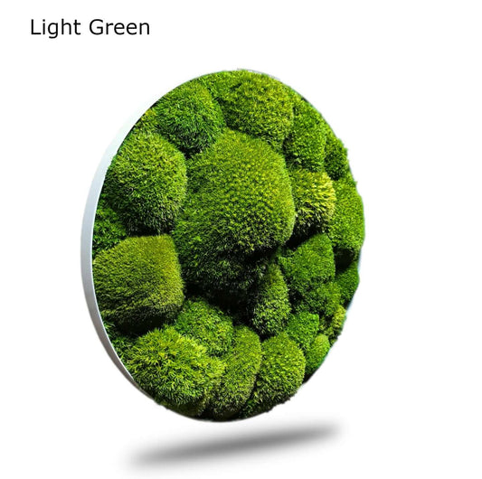 Farbauffrischung Moosbilder 500ml - Light Medium & Dark Green - frisches Kugelmoos in hellem Grün.