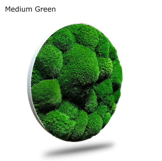 Farbauffrischung Moosbilder 500ml - Light Medium & Dark Green, Medium Green preserved moss display.