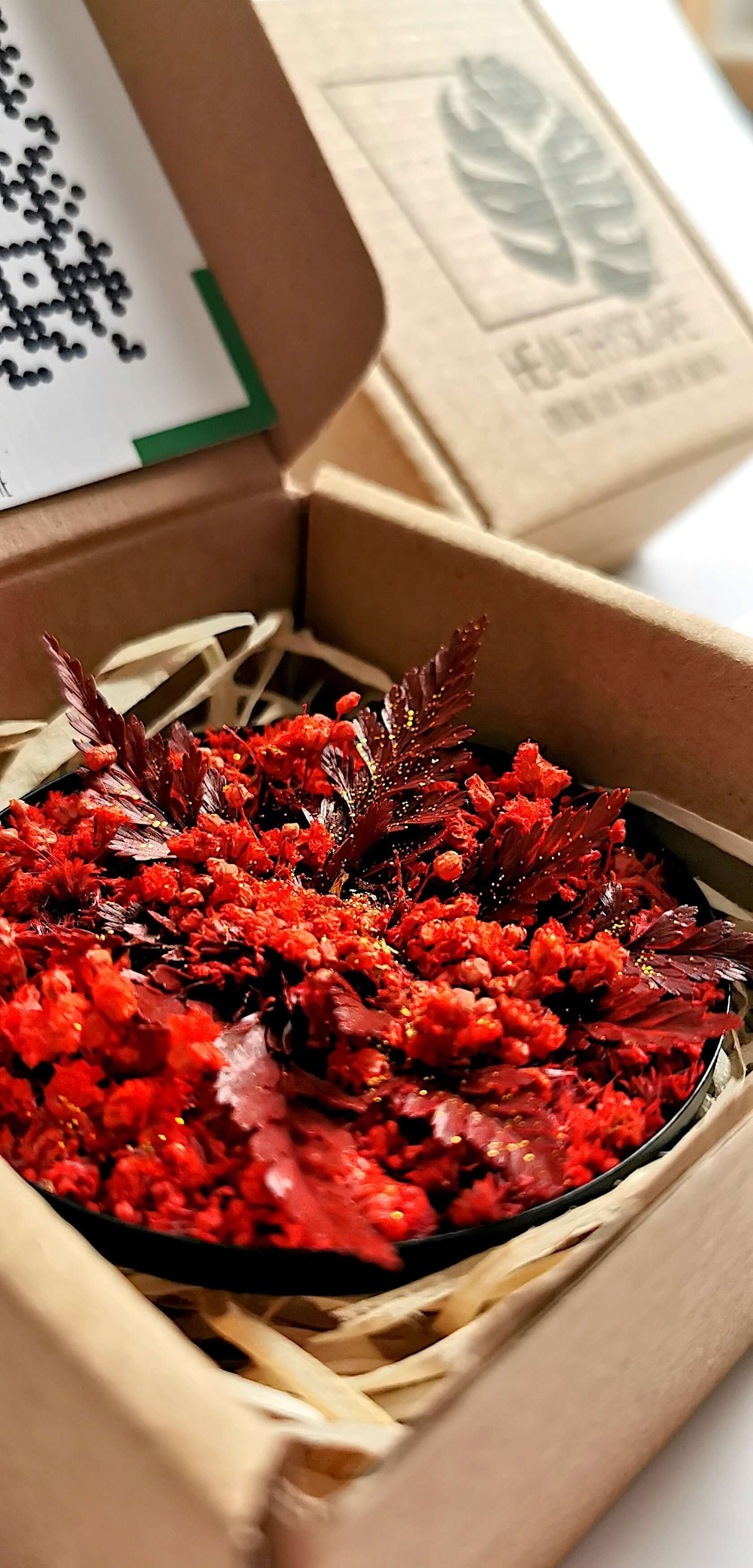 Pflanzenkunstwerk 'Red Star' in Geschenkbox, mit roten getrockneten Blüten und Farnen für Weihnachten.