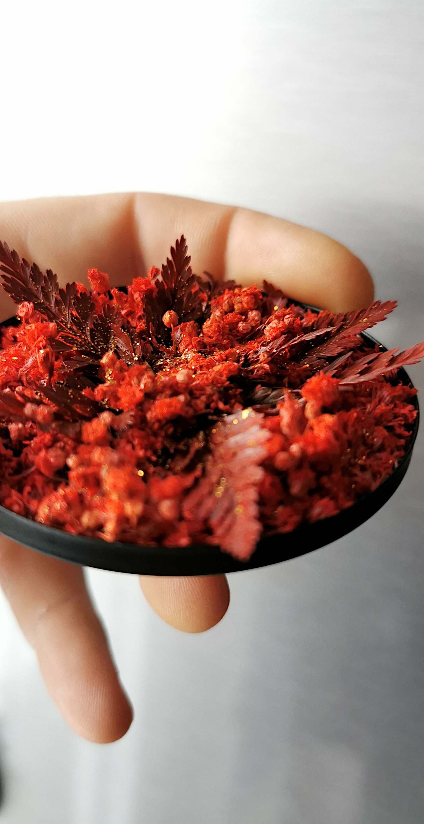 Moosbild mit kleiner schwarzer Schale voller getrockneter roter Pflanzenkunst für Weihnachten.