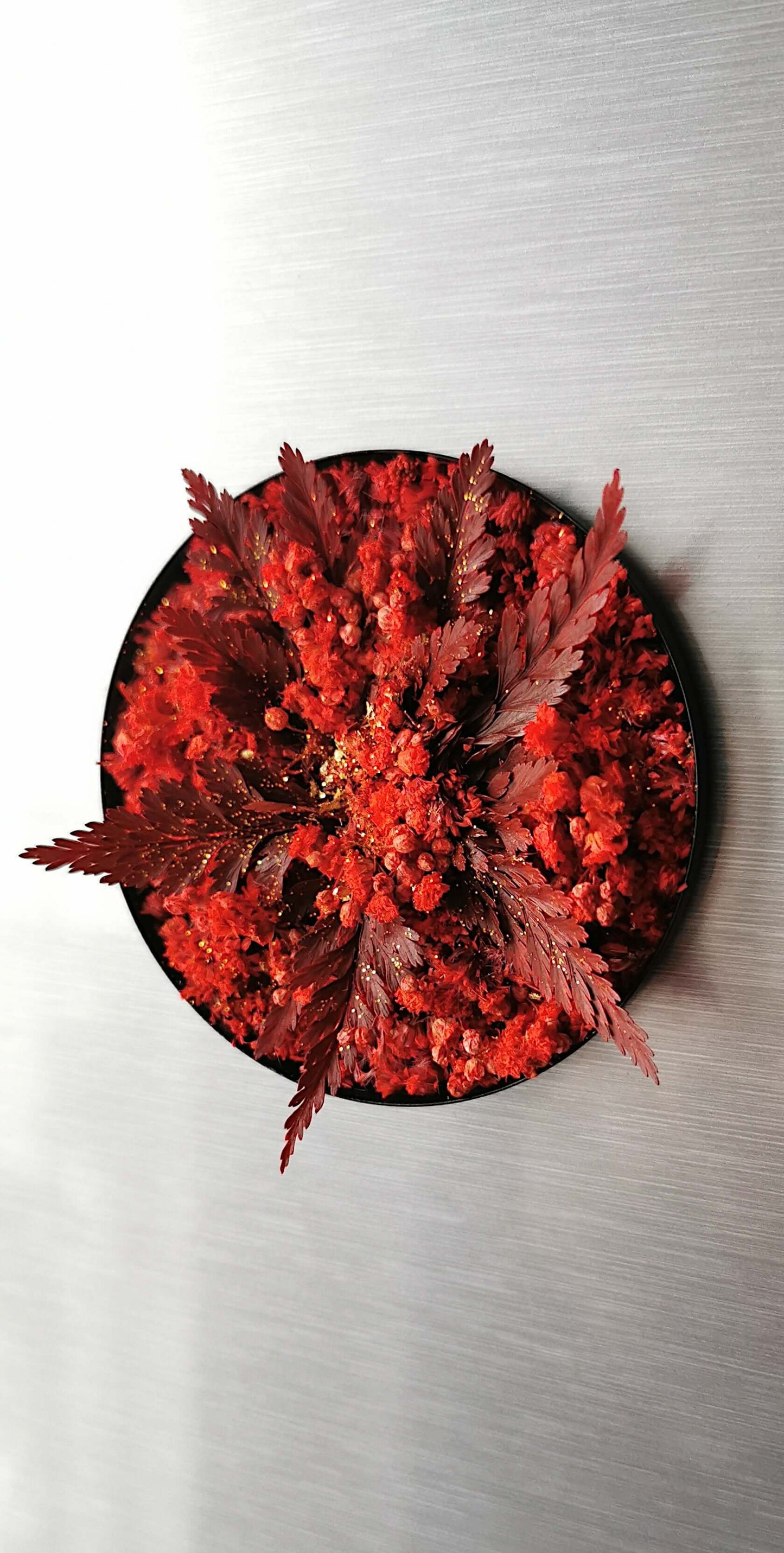 Rotes Pflanzenbild "Red Star" mit getrockneten Blumen und Farnen, perfekte Weihnachtsdekoration.