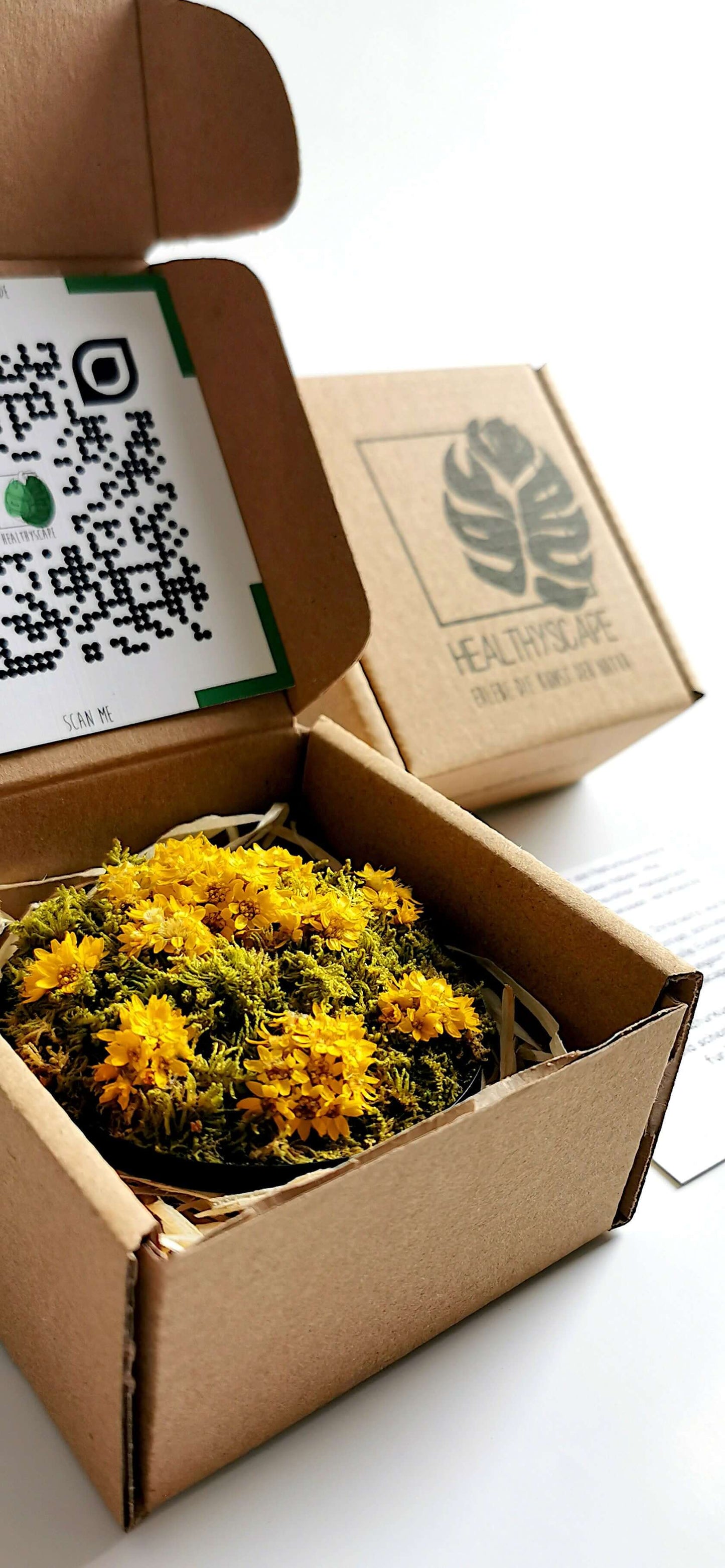 Kleines Blumenbild "Sunny Flower" in einer Kartonbox mit gelben getrockneten Blumen und Moos, umgeben von Füllmaterial.