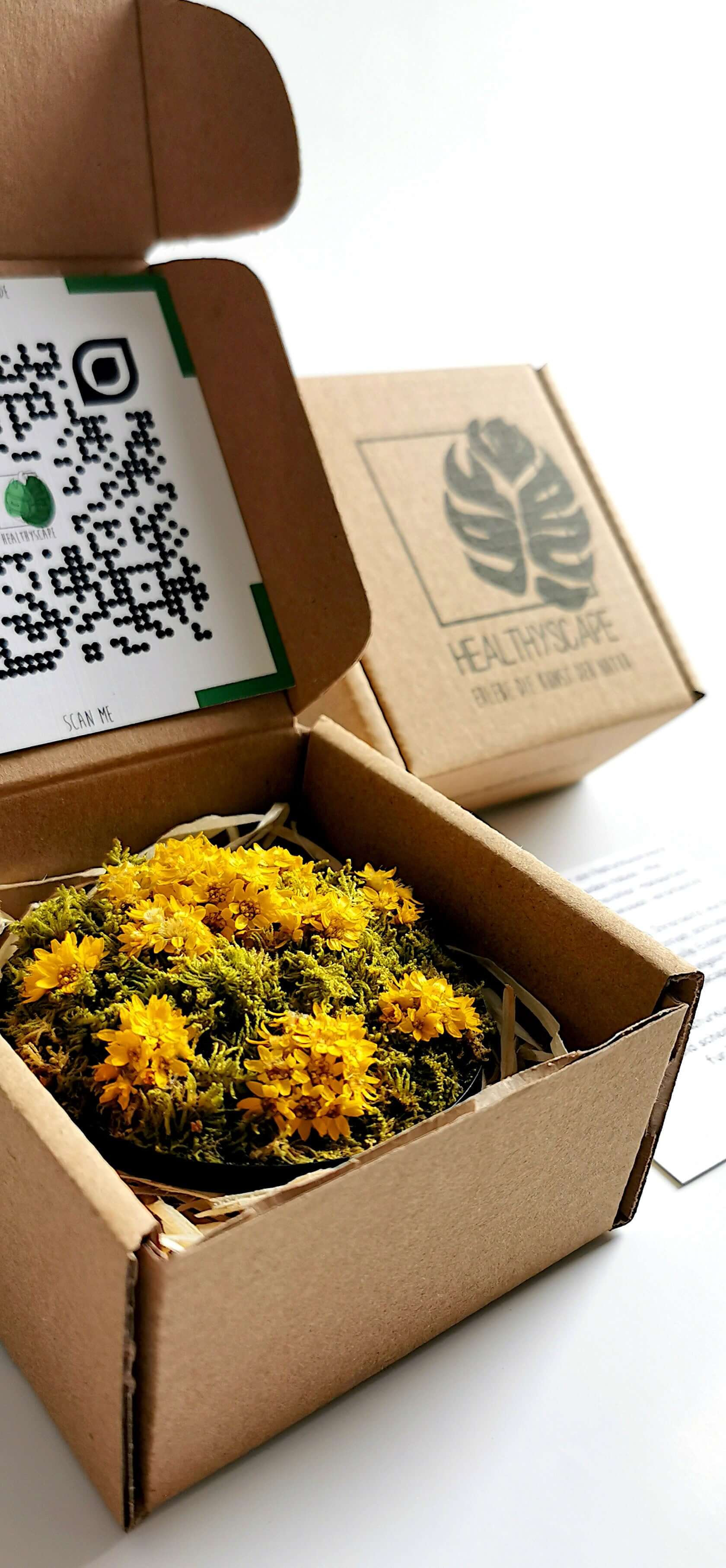 Kleines Blumenbild "Sunny Flower" in einer Kartonbox mit gelben getrockneten Blumen und Moos, umgeben von Füllmaterial.