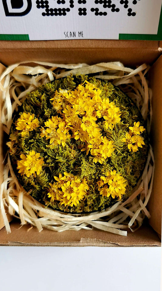 Kleines Blumenbild "Sunny Flower" aus konserviertem Moos und getrockneten gelben Blumen, ideal für Deko und Geschenke.