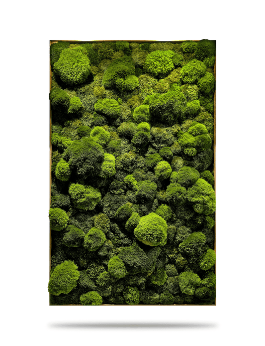 Echtes Moosbild 'Moose Mix' für Zahnarztpraxis, beruhigende grüne Wandkunst aus konserviertem Moos.