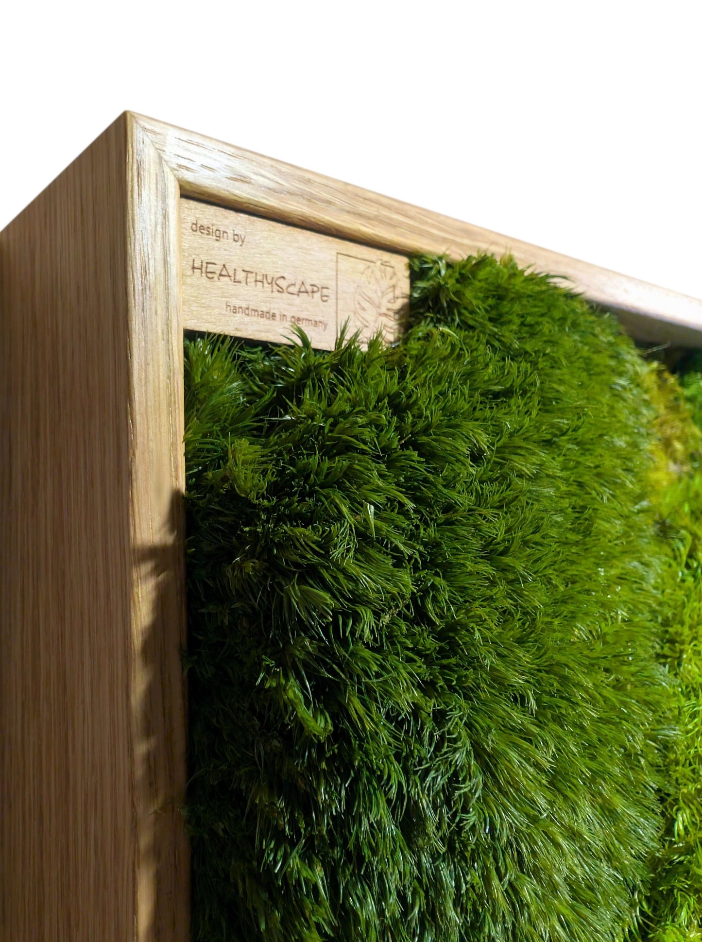 Echtes Moosbild "Moose Mix" in Holzrahmen, ideal für entspannende Zahnarztpraxis-Dekoration.