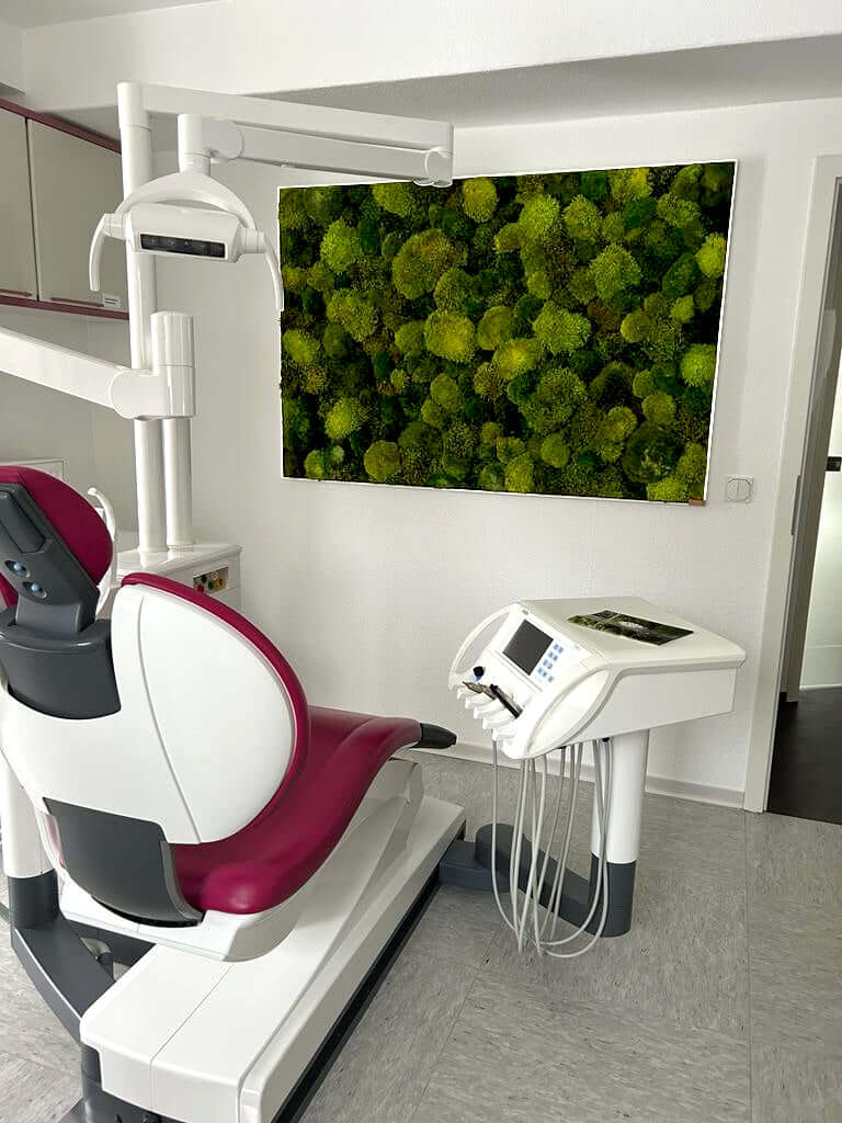Echtes Moosbild "Moose Mix" in Zahnarztpraxis zur Schaffung einer beruhigenden Atmosphäre.