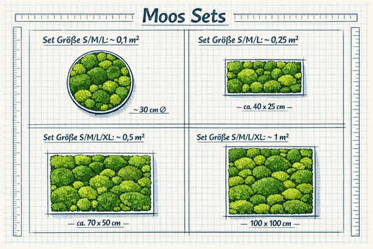 Moos Sets Größenübersicht für konserviertes Provence-Moos DIY, inklusive 0,1 m² bis 1 m² Varianten.