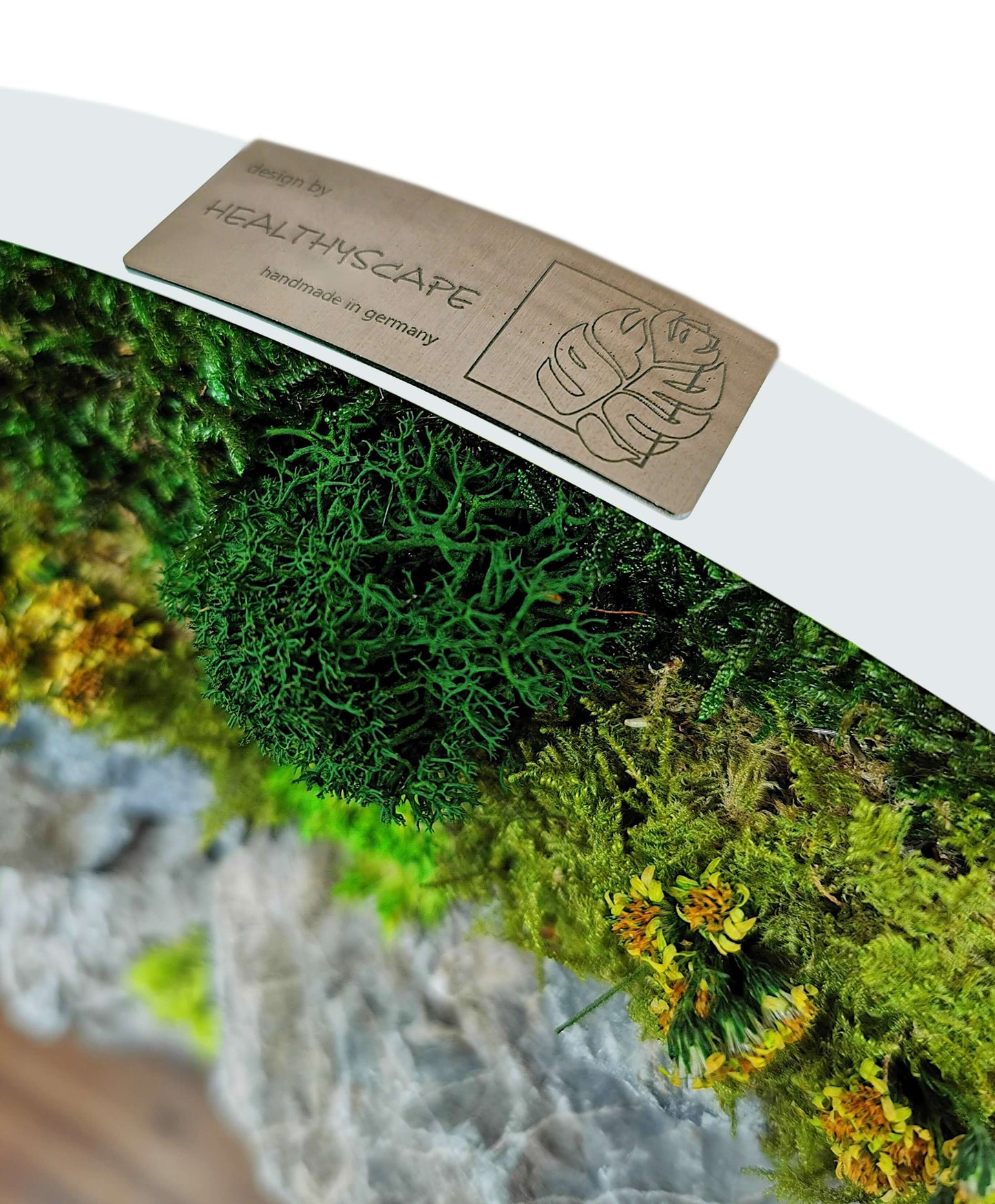 Close-up of the label on a moss wall art from Healthscape, featuring vibrant green and yellow moss details.