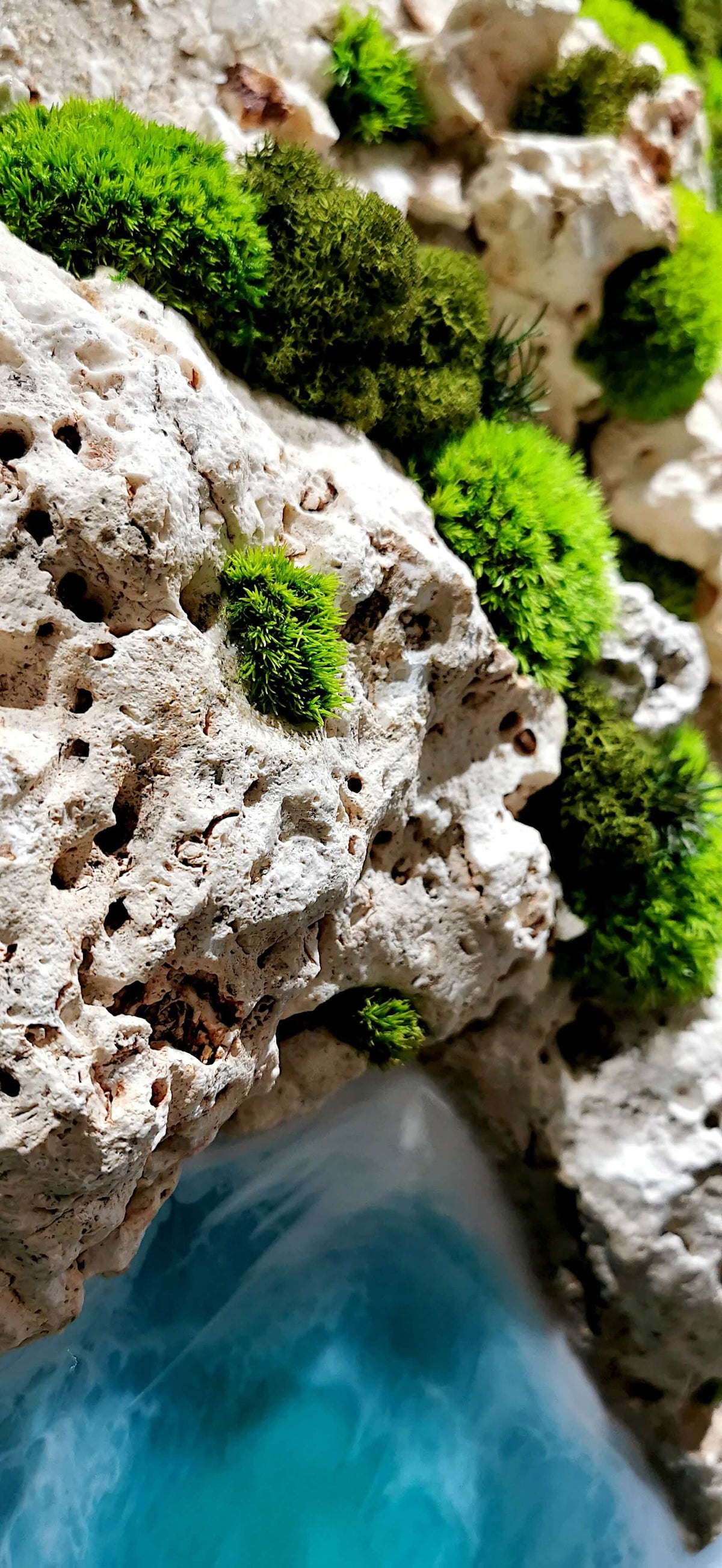 Maritime wall art featuring preserved natural materials and vibrant green moss, creating a coastal landscape effect.