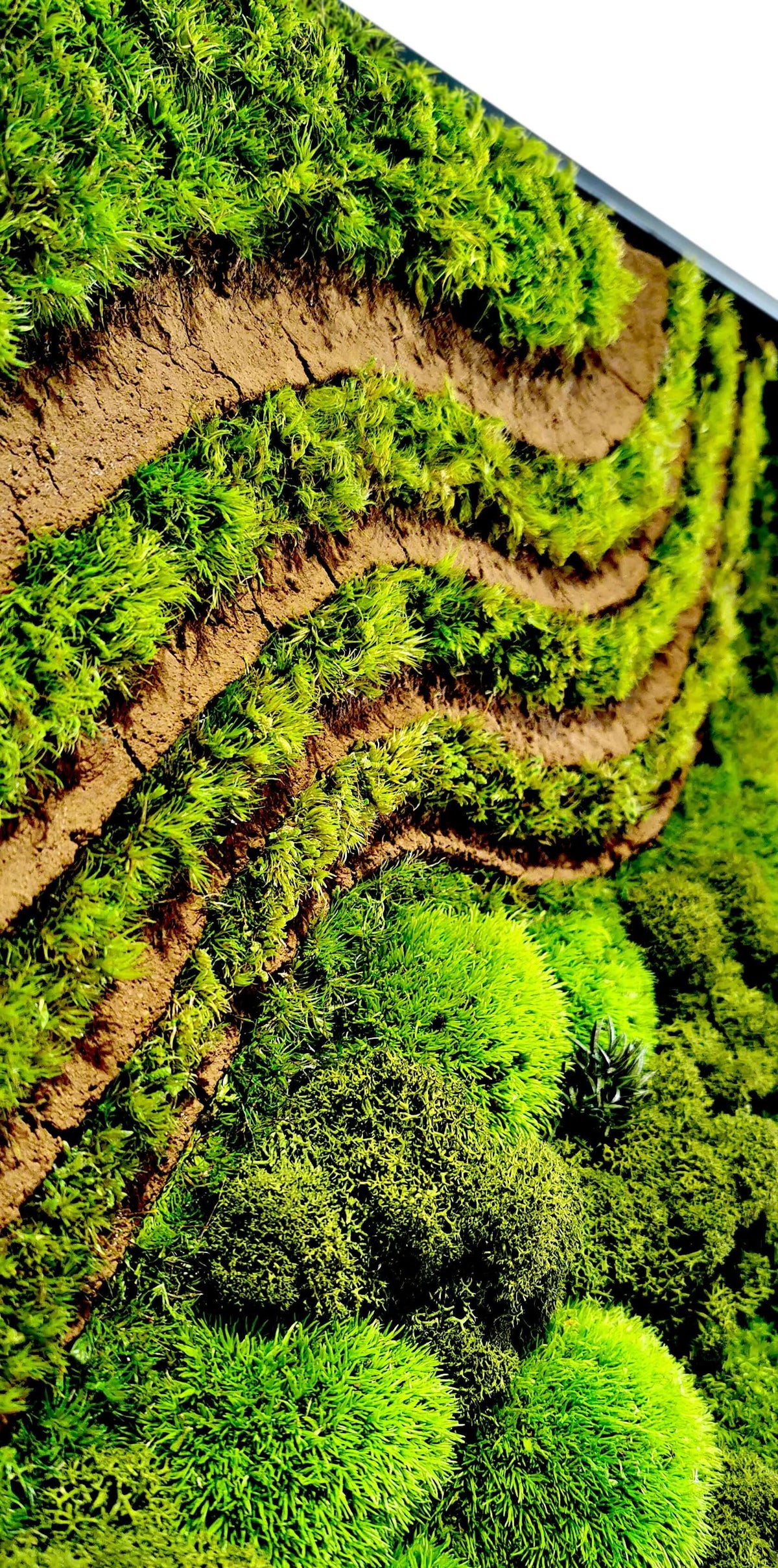 Grüne Wandkunst mit gewellten Mustern aus Moos und Naturmaterialien für entspannende Praxisgestaltung.