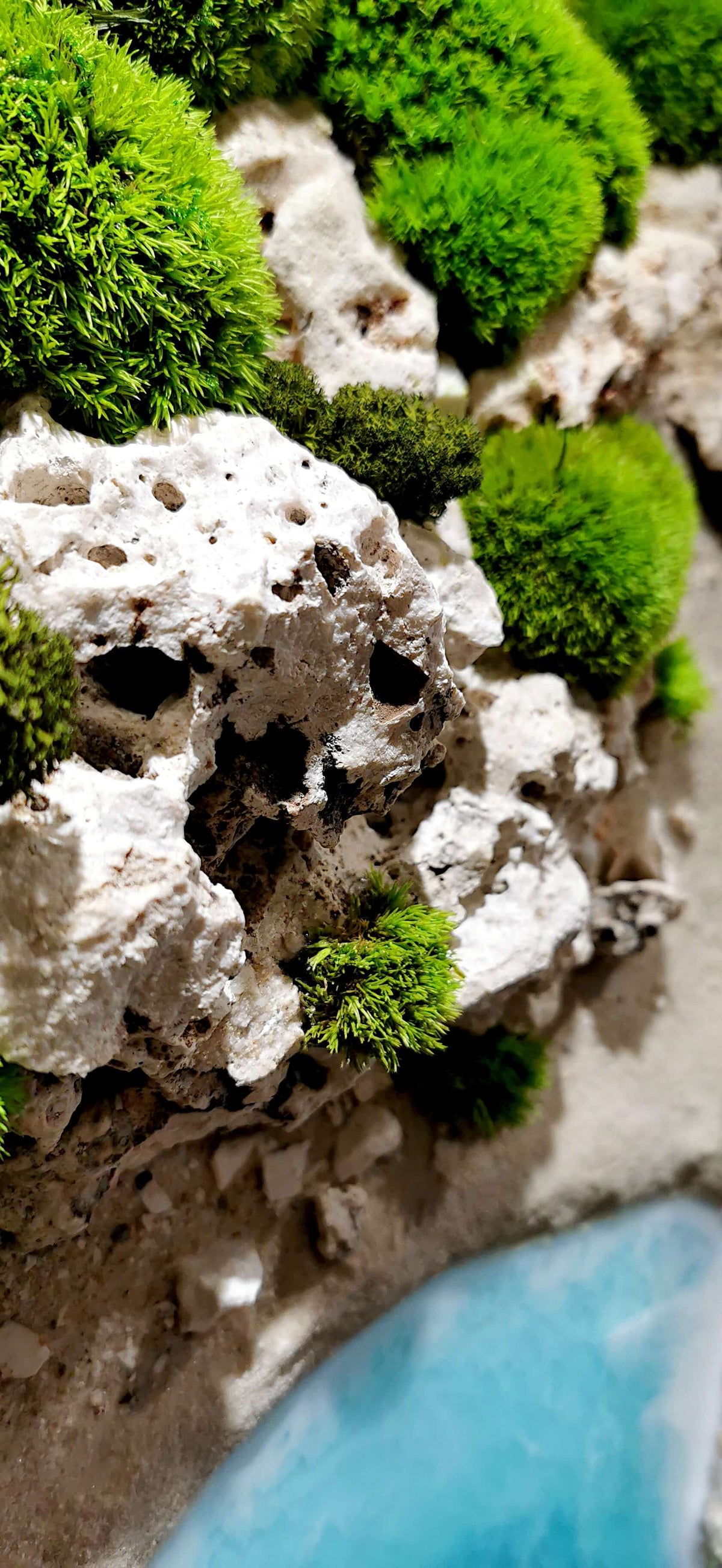 Detailaufnahme von konservierten Naturmaterialien und Moos für maritime Wandkunst "Ocean Coast".