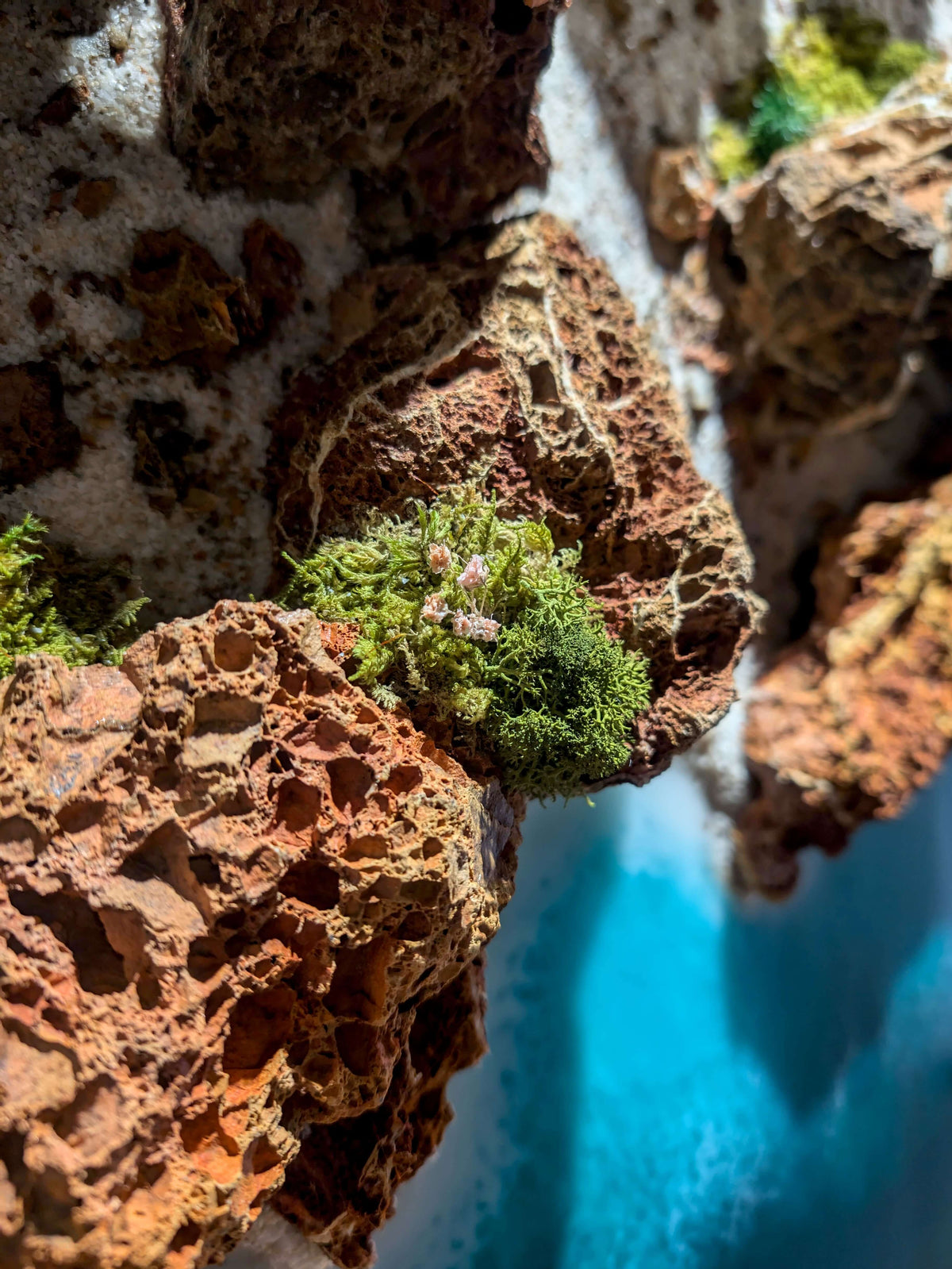 Detailaufnahme von echtem Moos und Steinen in einem handgefertigten Wandkunstwerk "Portugal Algarve".