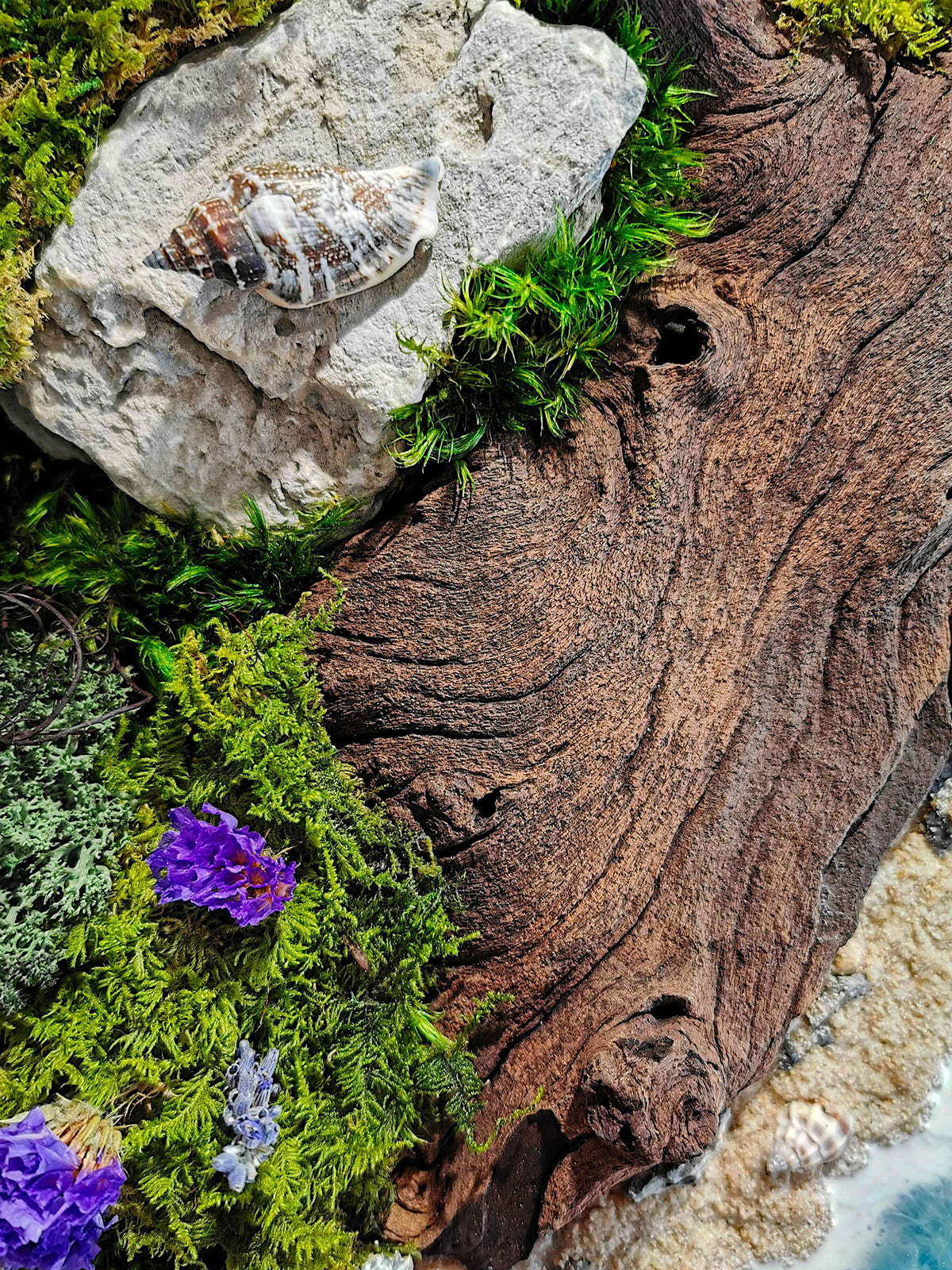 Detail of 'Woodn Coast' wall art featuring preserved moss, wood, a seashell, and vibrant flowers.