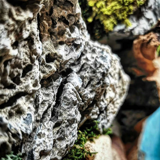 Detailaufnahme von natürlichem Gestein und Moos im Wanddeko Kunstwerk 'Woodn Coast'.