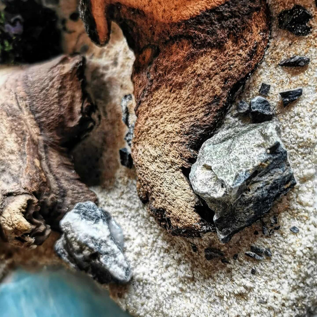 Nahaufnahme der Details im Kunstwerk 'Woodn Coast' mit echtem Holz, Sand und Gesteinsformen.