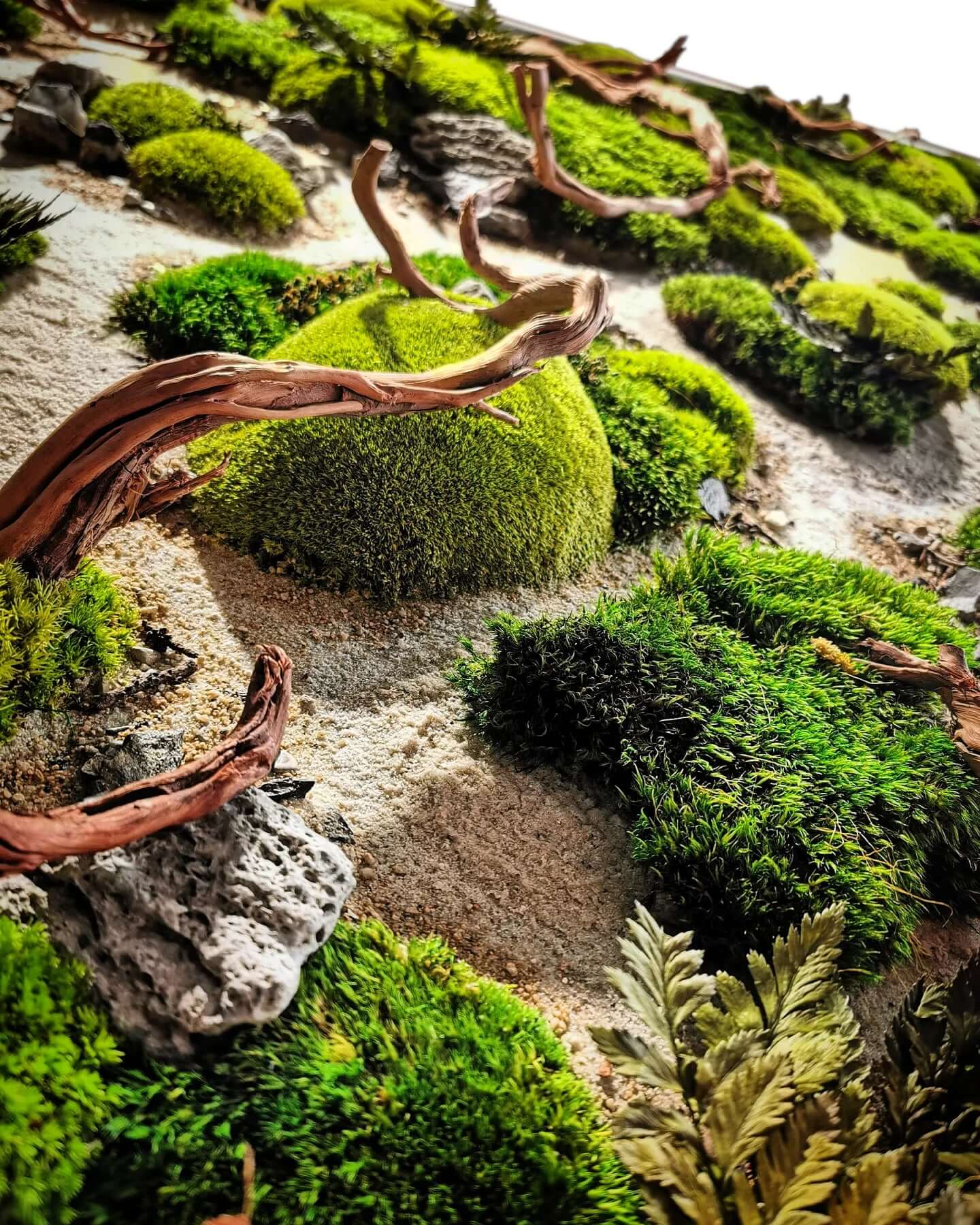 Moosbild Holzbild "Dried Riverbed" mit Moos, Holz und Steinen für natürliche Wanddekoration.