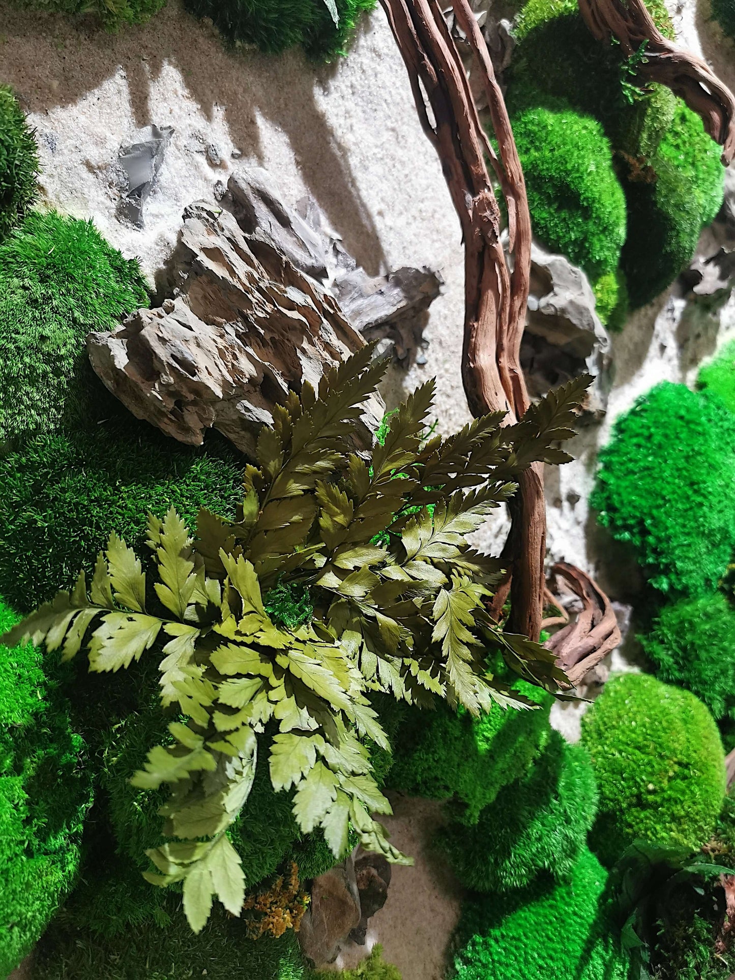 Close-up of lush green moss and decorative plants in a natural wood art display.