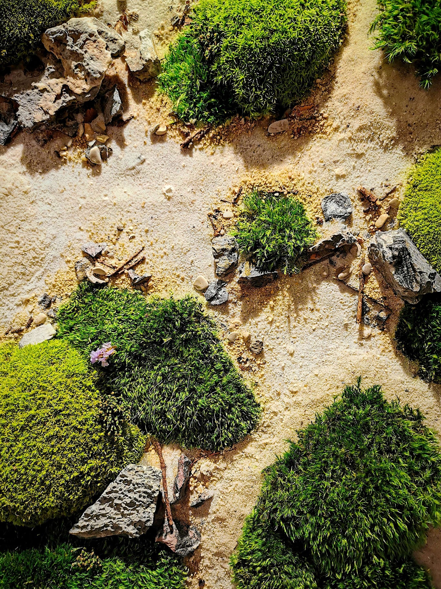 Moosbild Naturkunstwerk "Dünenpfade" mit zwei Farbtönen Moos und geologischen Elementen in einer beruhigenden Komposition.