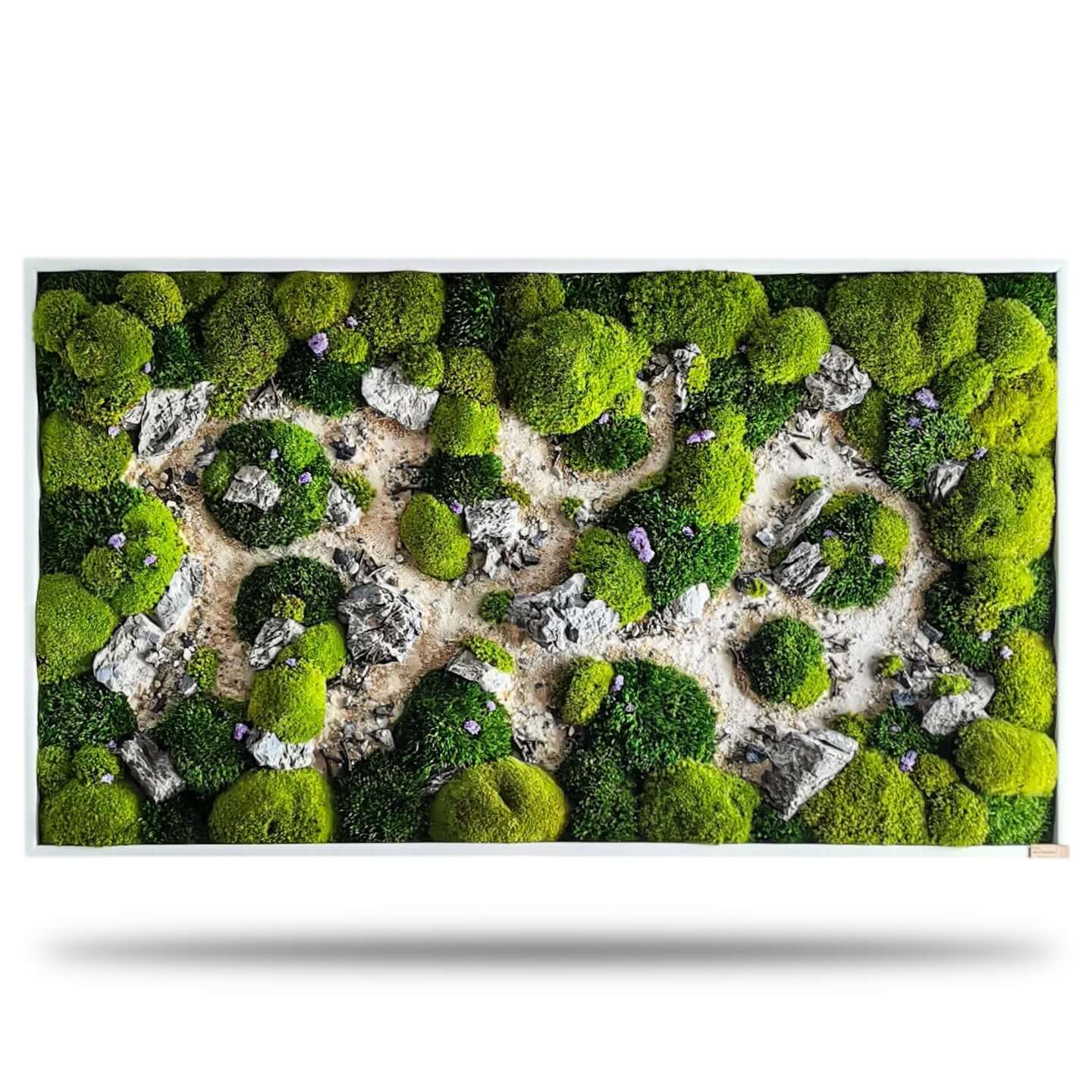 Moosbild "Dünenpfade" mit sandiger Dünenlandschaft und natürlichen Elementen für entspannende Wandkunst.
