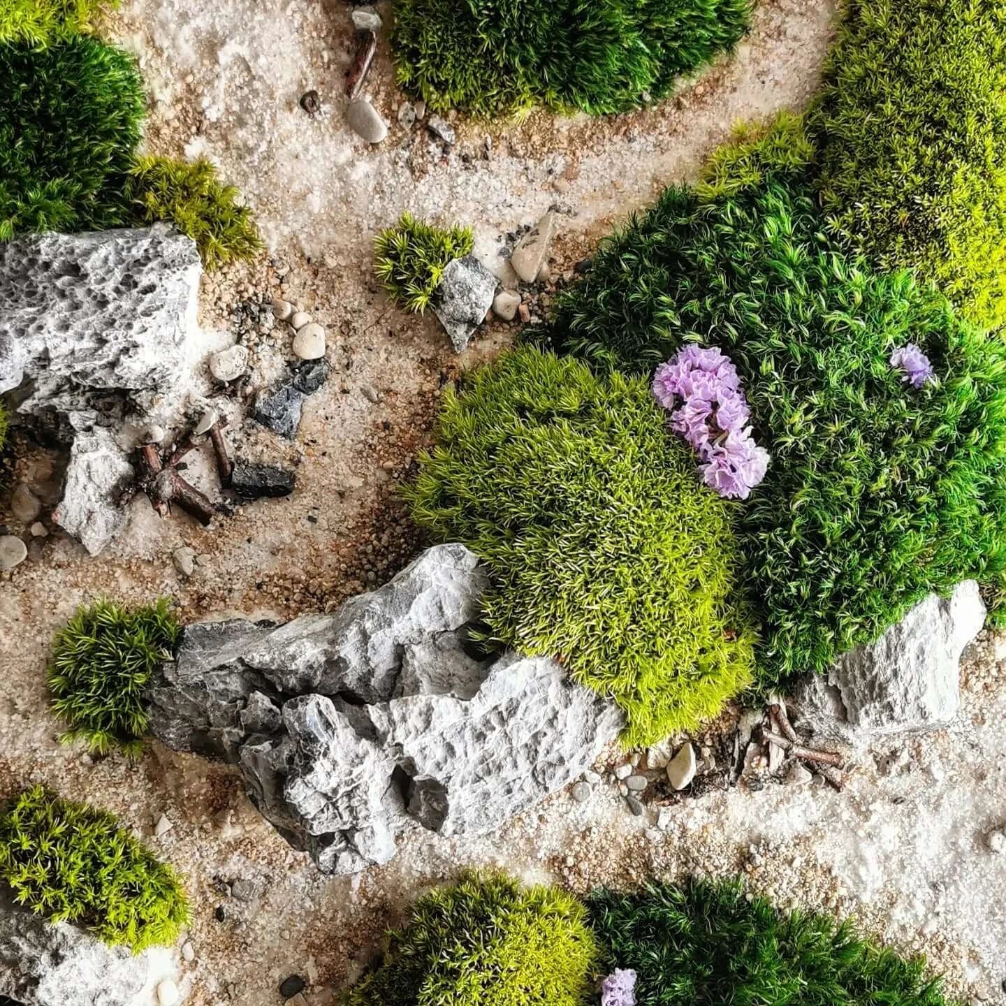 Nahaufnahme von Moos und Steinen im Naturkunstwerk "Dünenpfade", das beruhigende Dünenlandschaften darstellt.