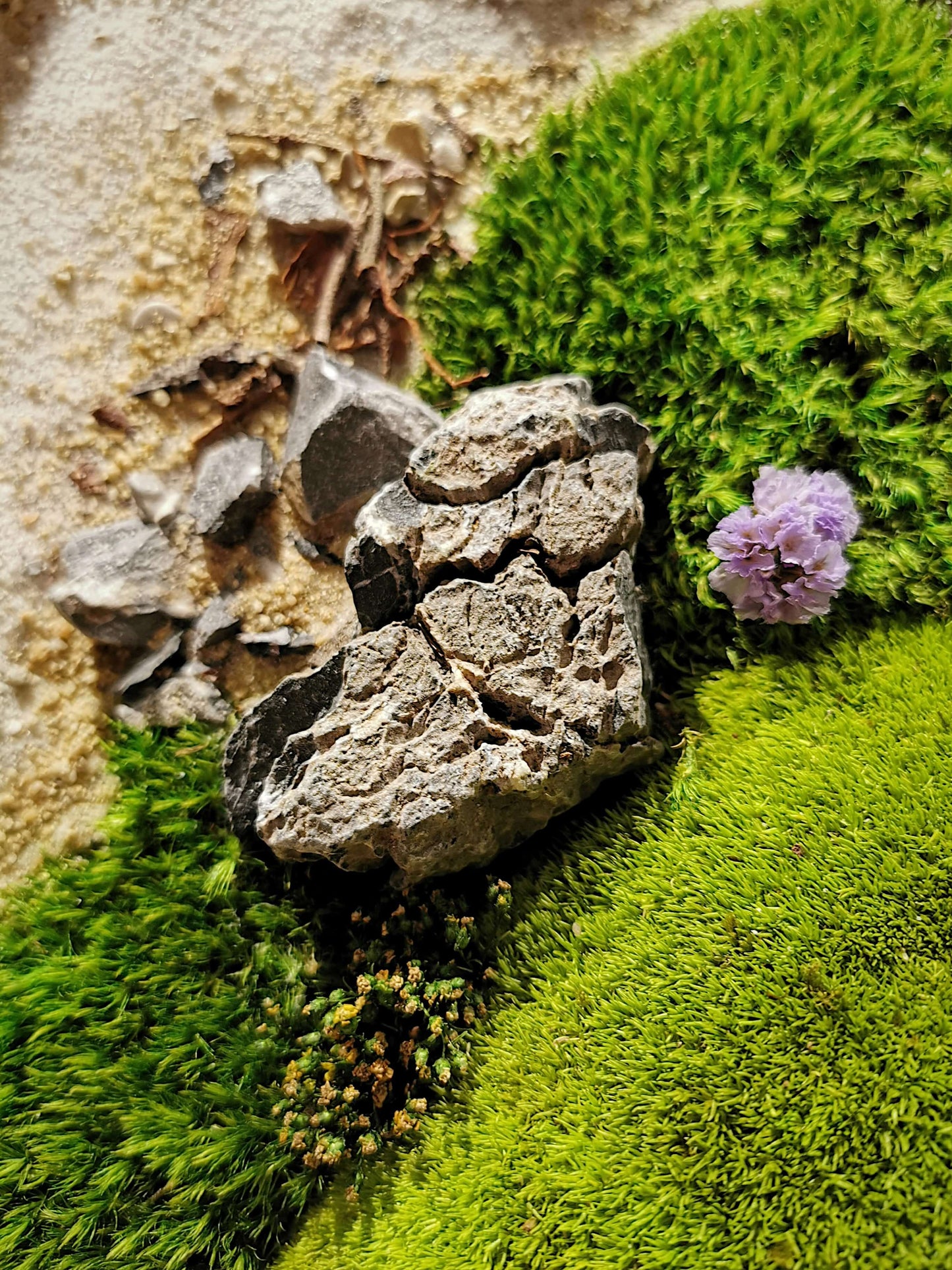 Close-up of heart-shaped rock surrounded by green moss and a purple flower, depicting natural beauty.