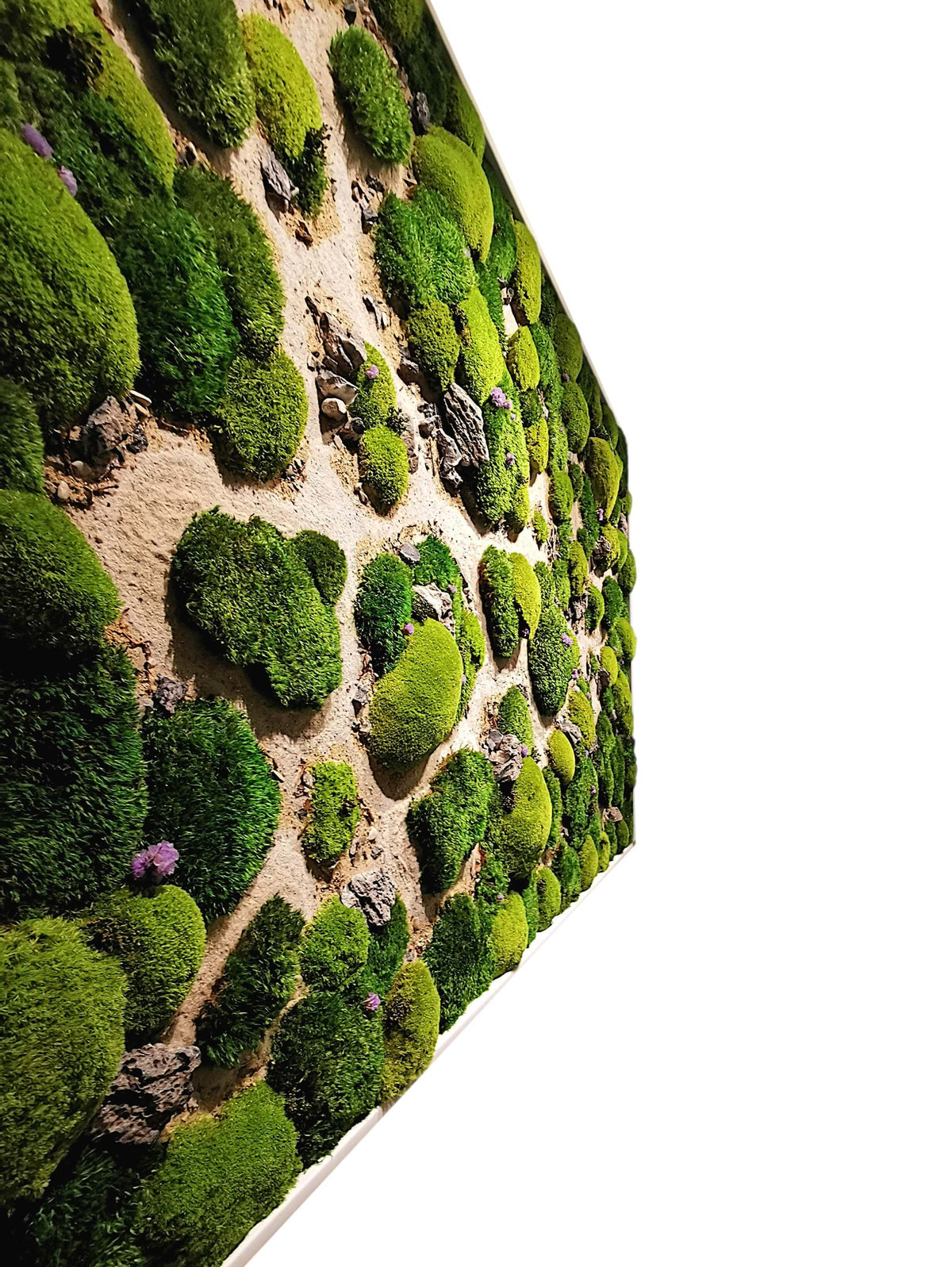 Moosbild Dünenpfade mit grünen Mooskugeln und Sand, perfektes Naturkunstwerk für entspannende Raumgestaltung.