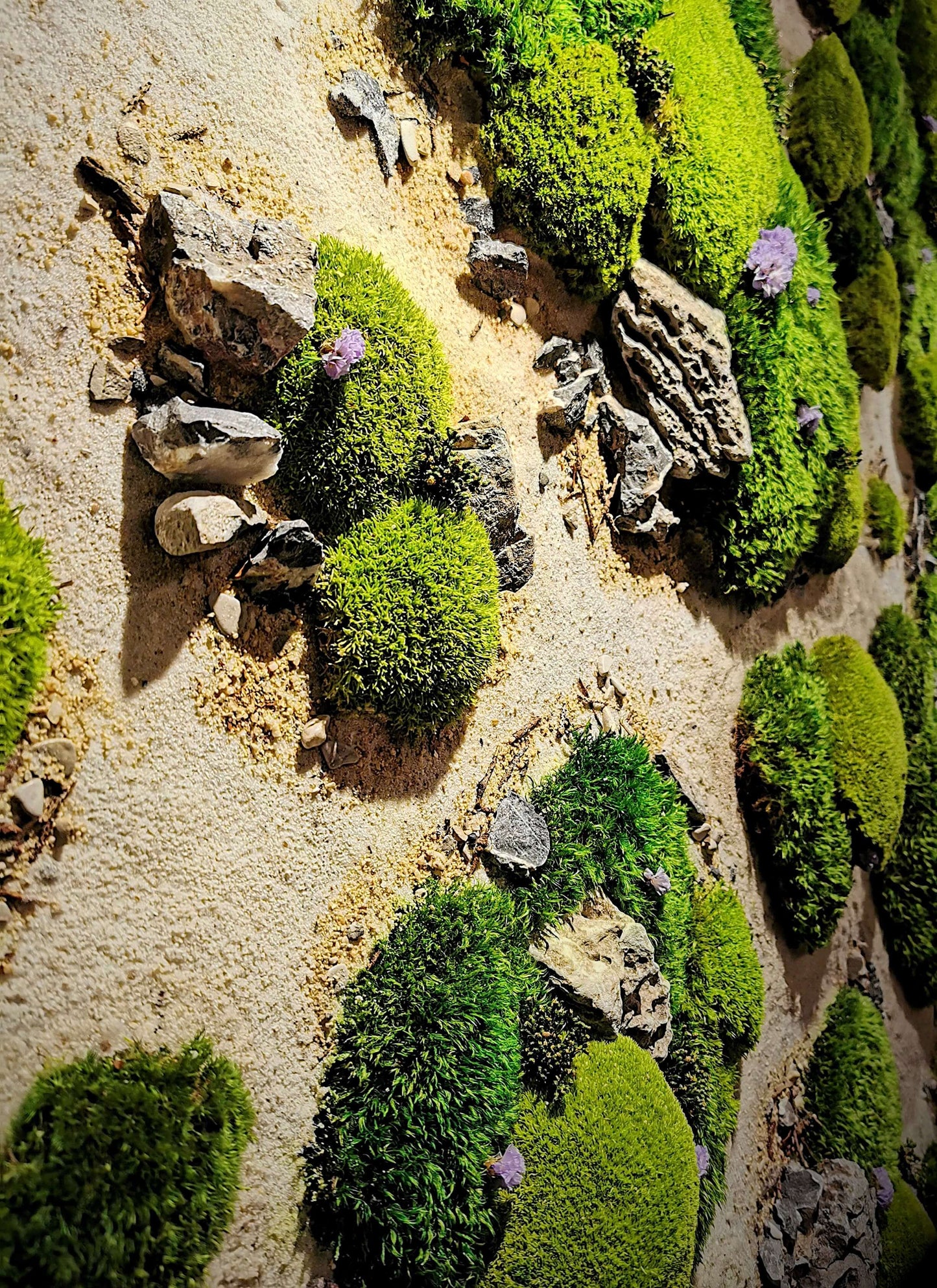 Moosbild Dünenlandschaft mit Sand, Steinen und bunten Pflanzen, beruhigende Wandkunst für natürliche Dekoration.