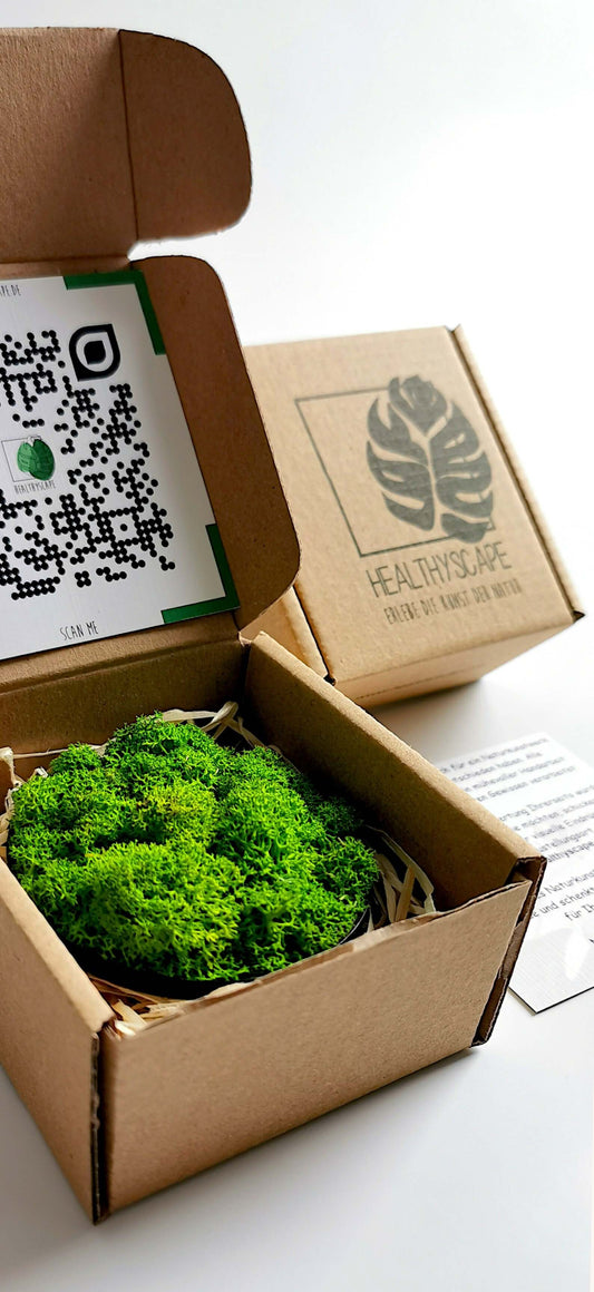 Kleines Moosbild Rentiermoose in einer offenen Geschenkbox mit QR-Code und Verpackungselementen.