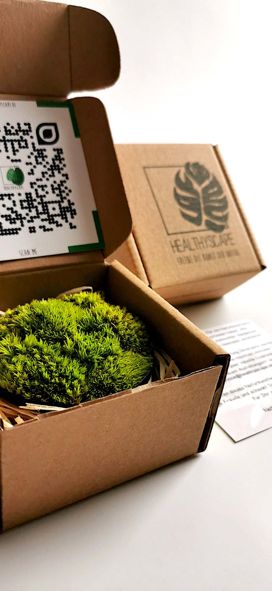 Kleines Moosbild "Little Hills" in umweltfreundlicher Verpackung, ideal für den Kühlschrank oder als Geschenk.
