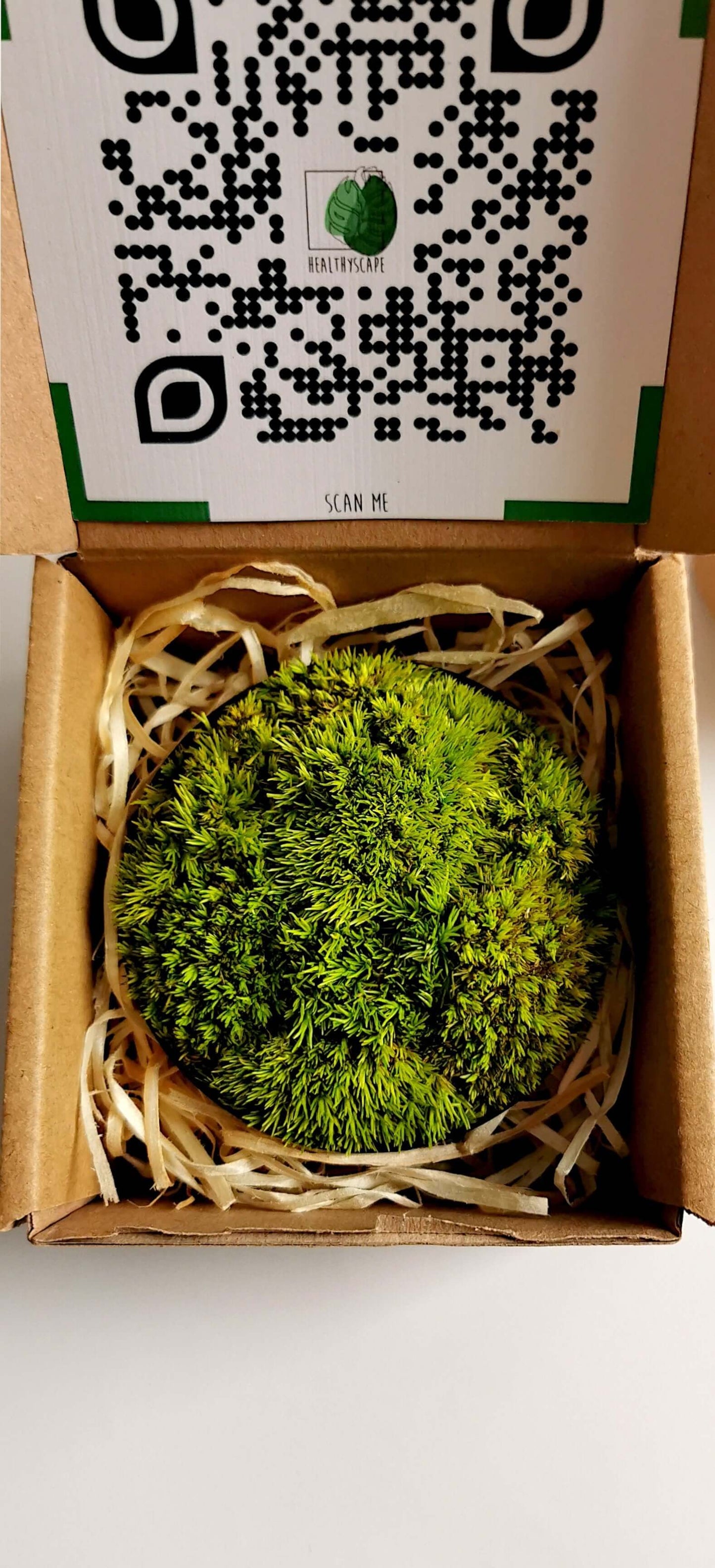 Kleines Moosbild "Little Hills" in einer Verpackung, ideal für Kühlschrank oder Bürodekoration.