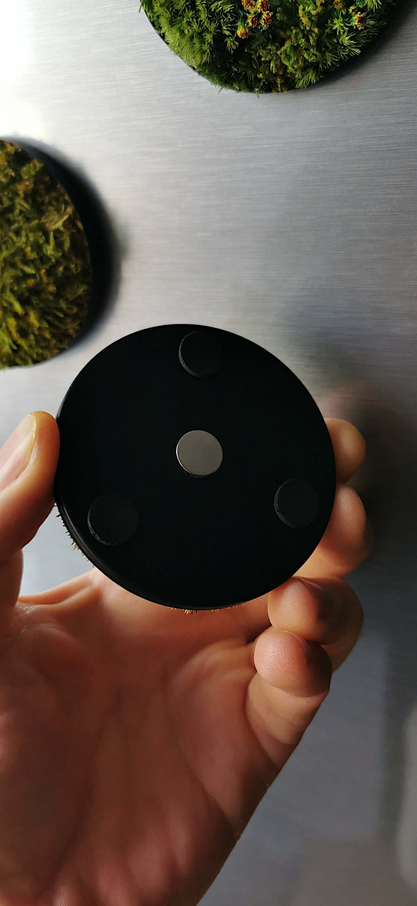 Magnetische Rückseite eines kleinen Moosbilds "Little Hills" in der Hand, ideal für Kühlschränke.