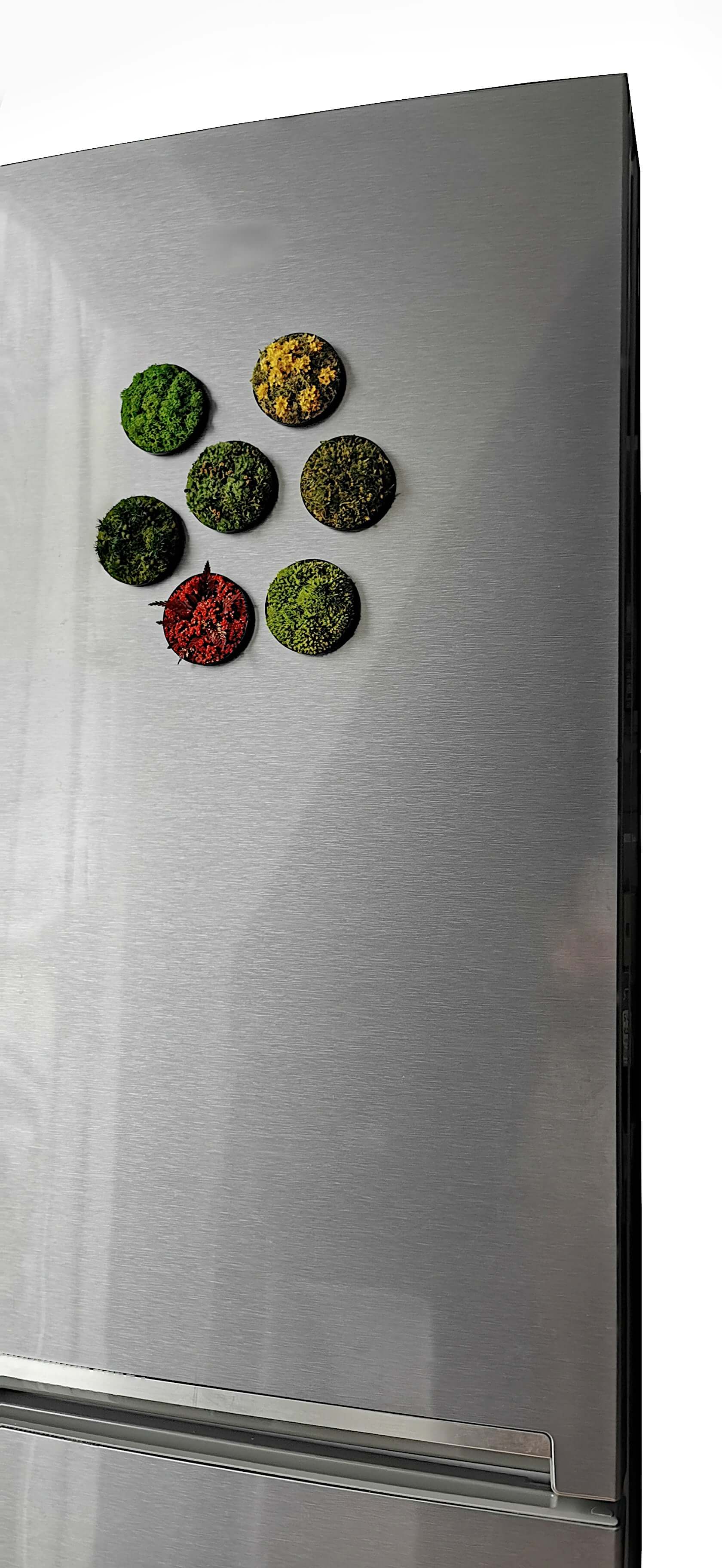 Miniature moss artwork 'Dandelion' displayed on a stainless steel fridge, adding a touch of greenery.