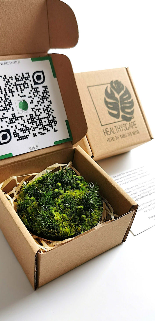 Kleines Moosbild "Nadelwald" in einer umweltfreundlichen Verpackung mit QR-Code und Informationskarte.
