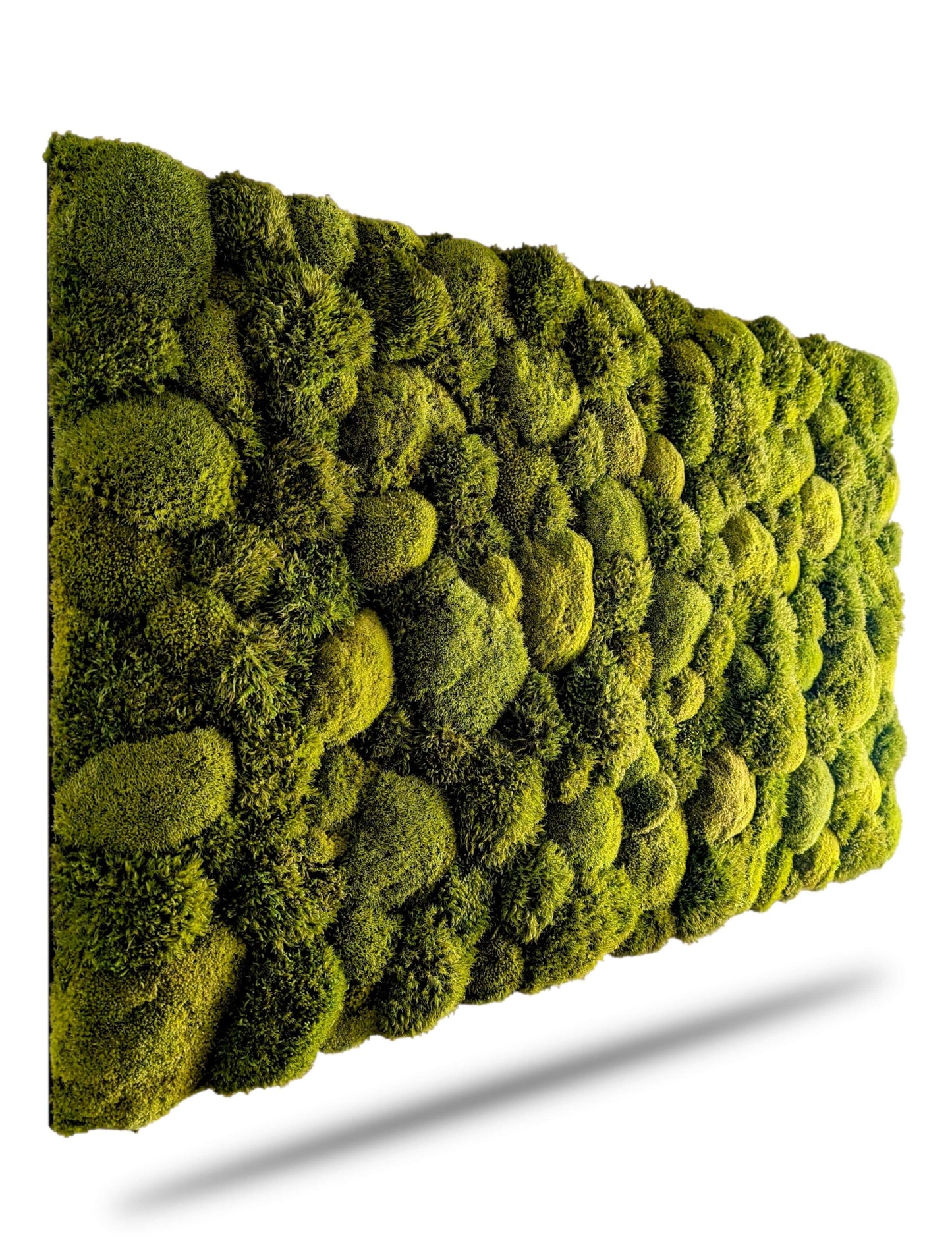 Moosbild ohne Rahmen 'Natur Pur' aus Kugel- und Provence-Moosen für natürliche Wohnraumgestaltung.