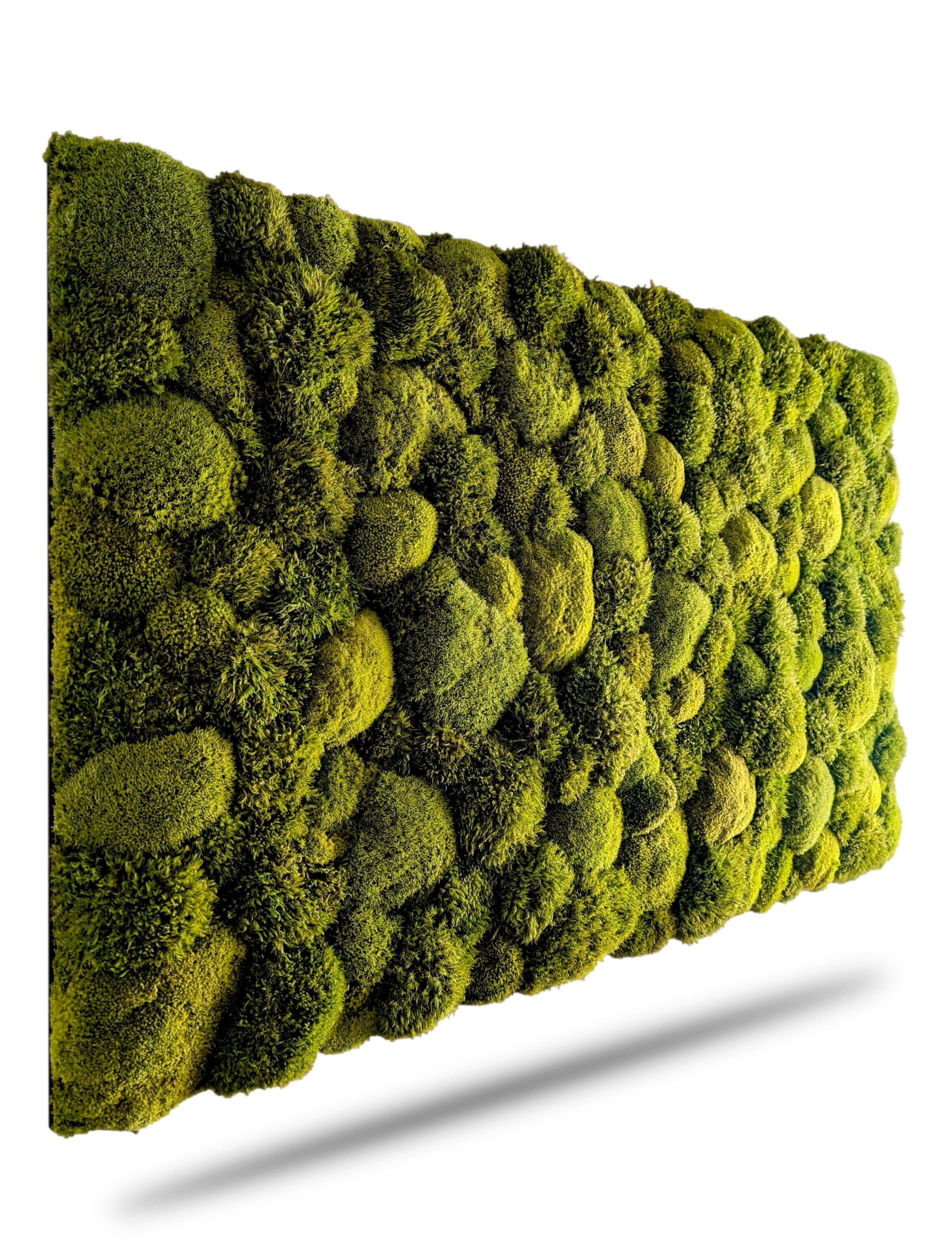 Moosbild ohne Rahmen 'Natur Pur' aus Kugel- und Provence-Moosen für natürliche Wohnraumgestaltung.