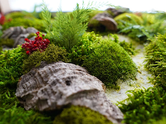 Quadratisches Moosbild "Red Aronia" mit grünem Moos, Korkstücken und bunten Pflanzen, ideal für natürliche Raumdekoration.